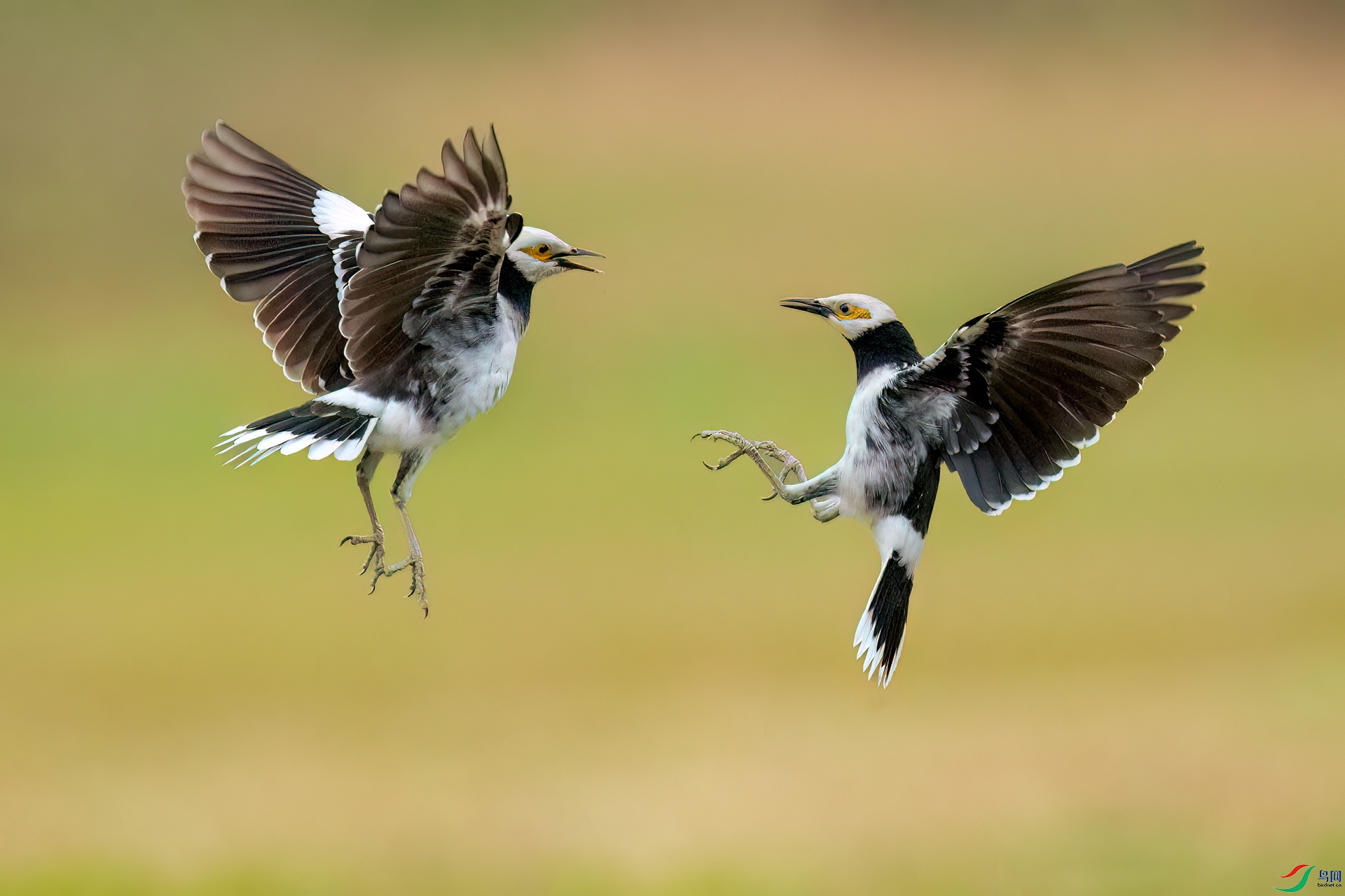 B86I6577 _����.jpg