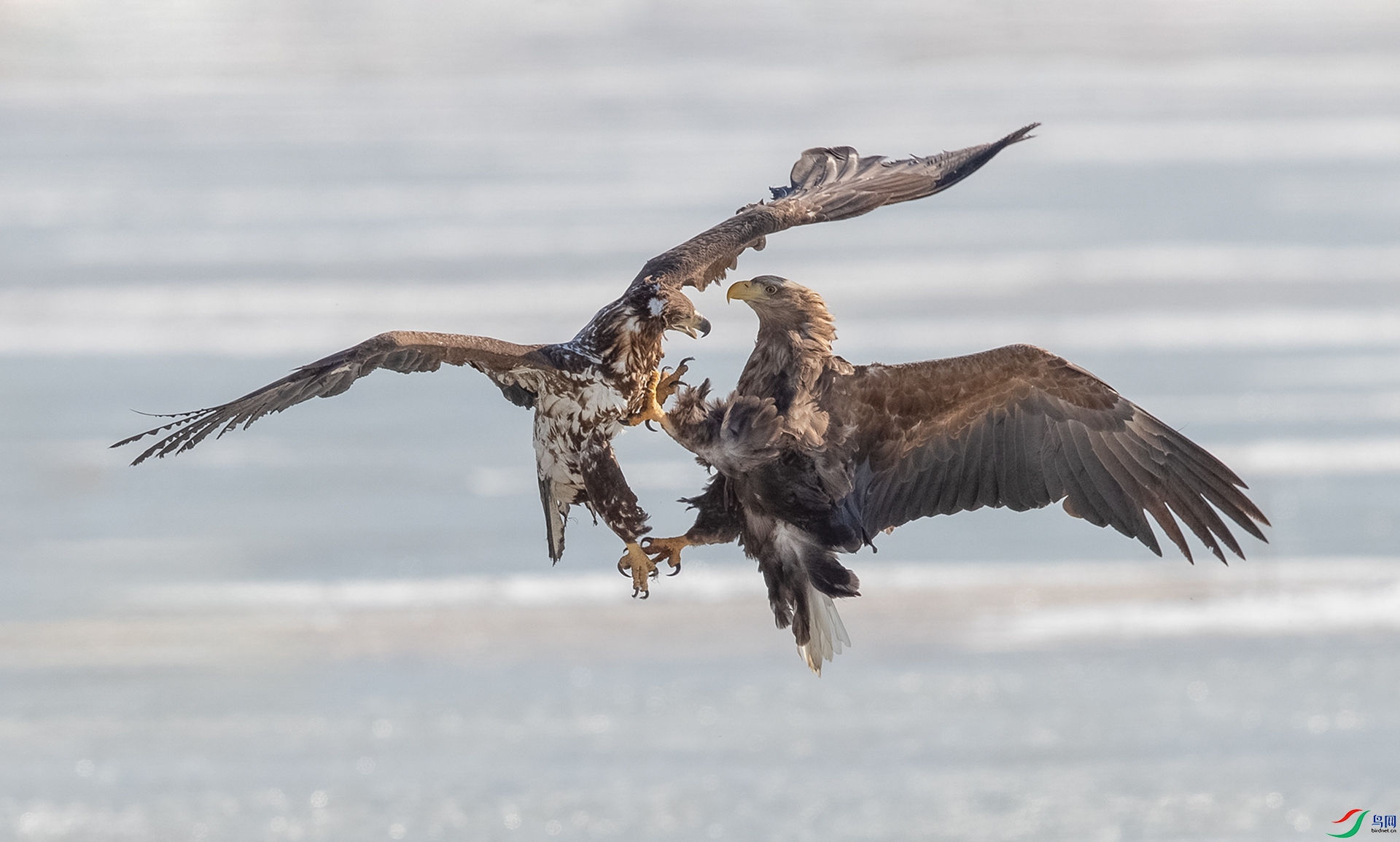 AK8I7243����  012.jpg