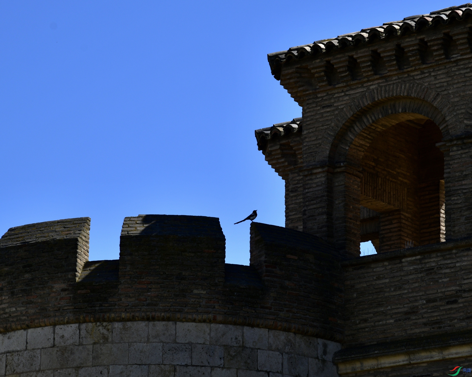 _DSC0060_02_01_01.JPG