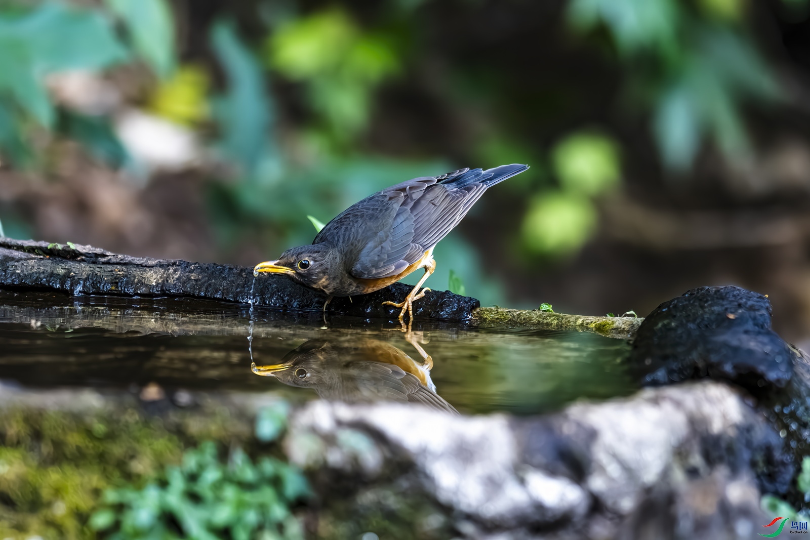 DSC_2586-�ҳ��.jpg