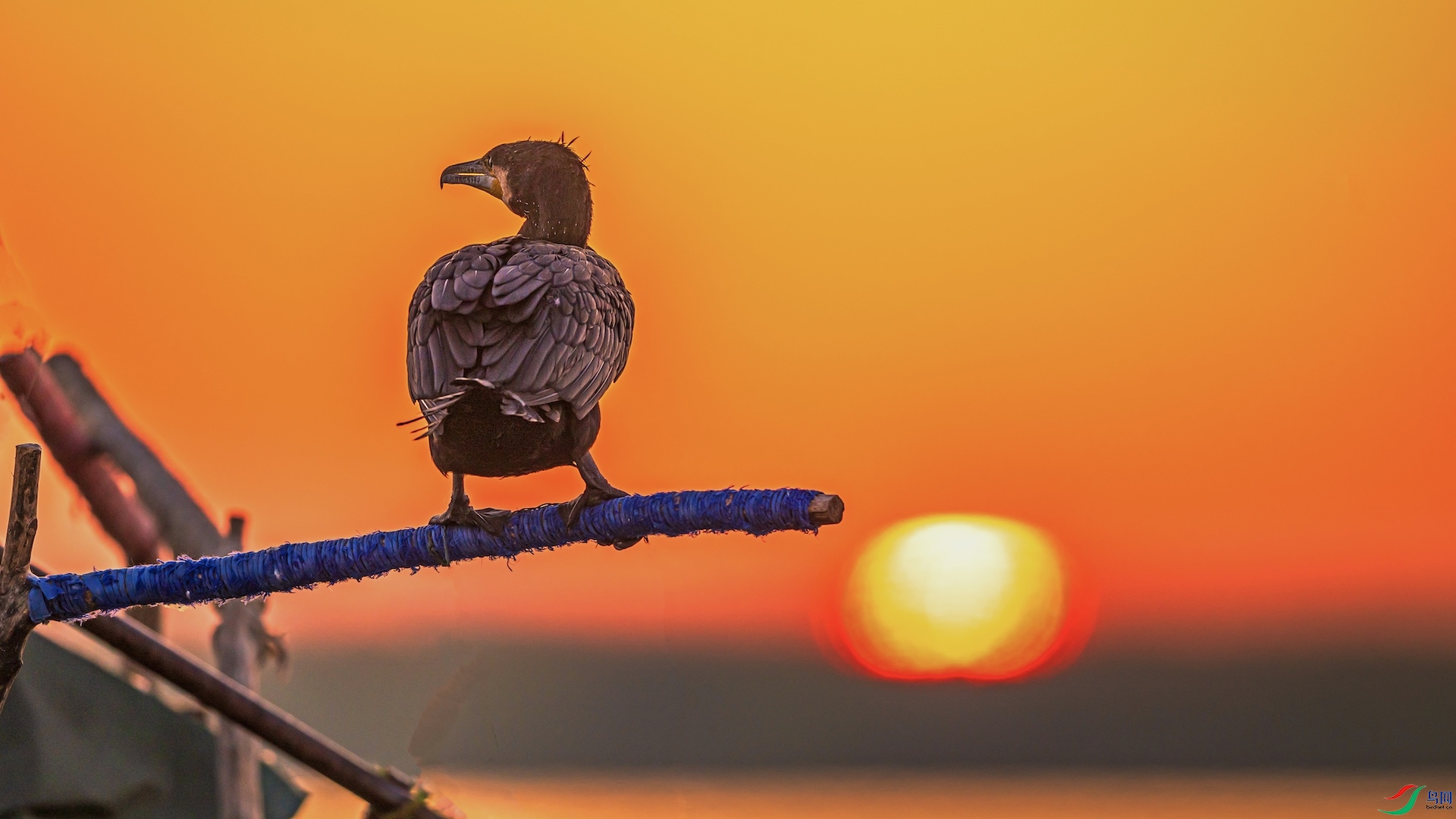 1_XXL9111 ����.jpeg