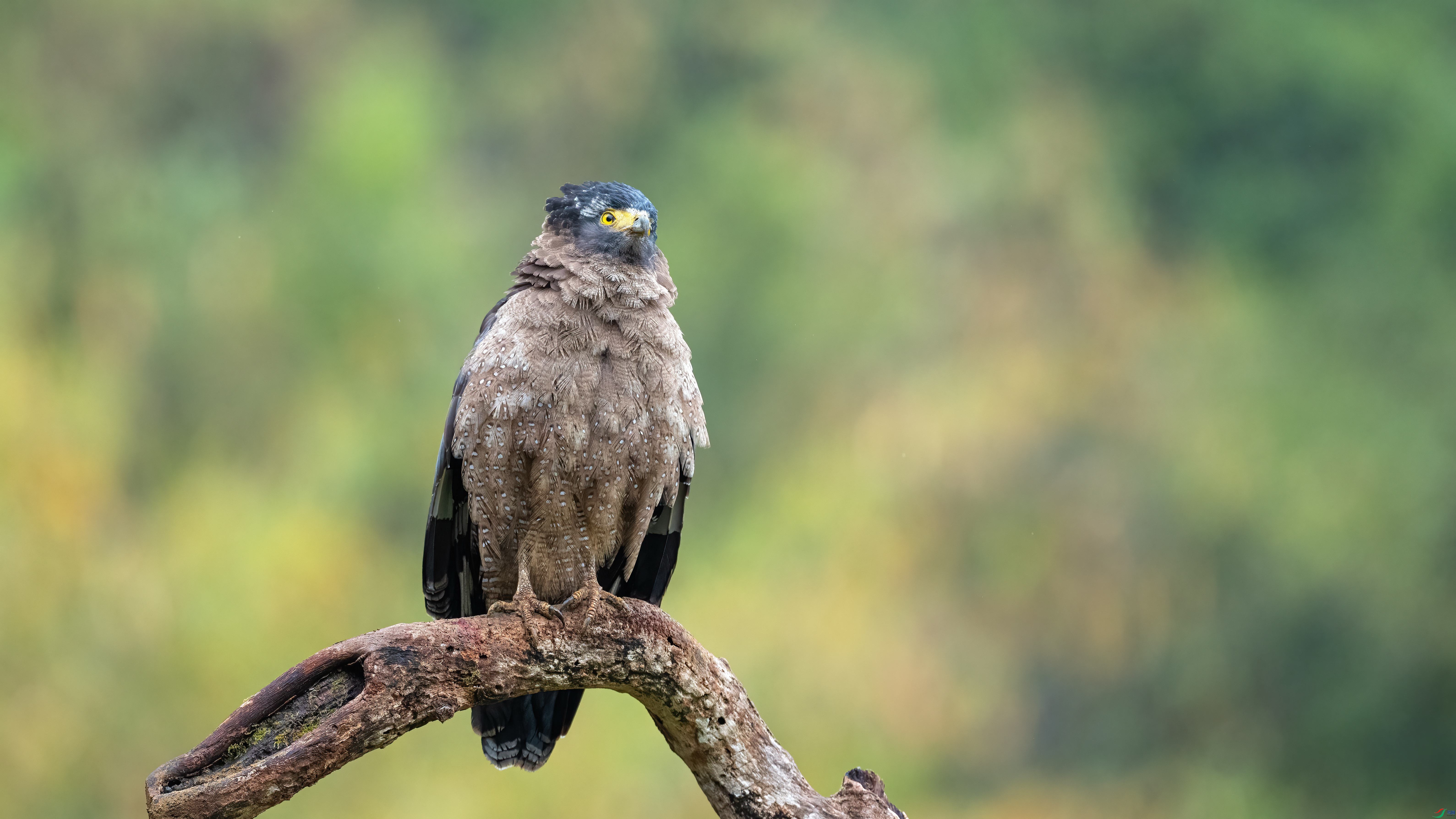 DSC_3491.jpg