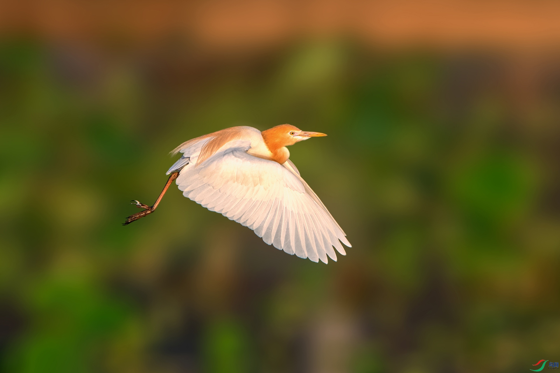 _AUU3471ţ����(24.5.6).jpg