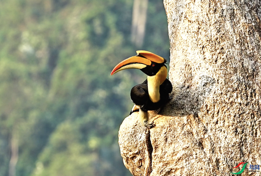 ����2025-02-25 20.13.32.png