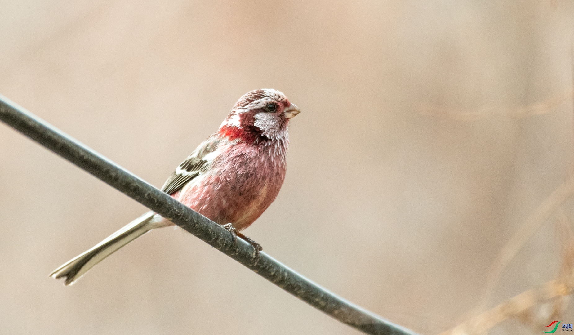 DSC_4722.jpg