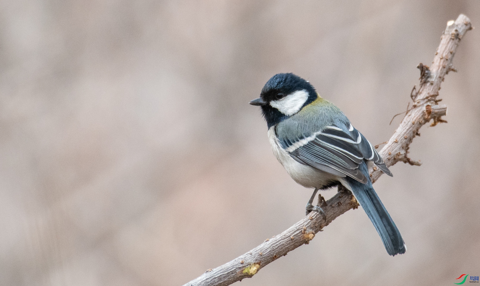 DSC_4718.jpg