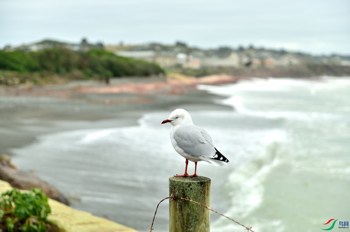 DSC_3957_00108.jpg