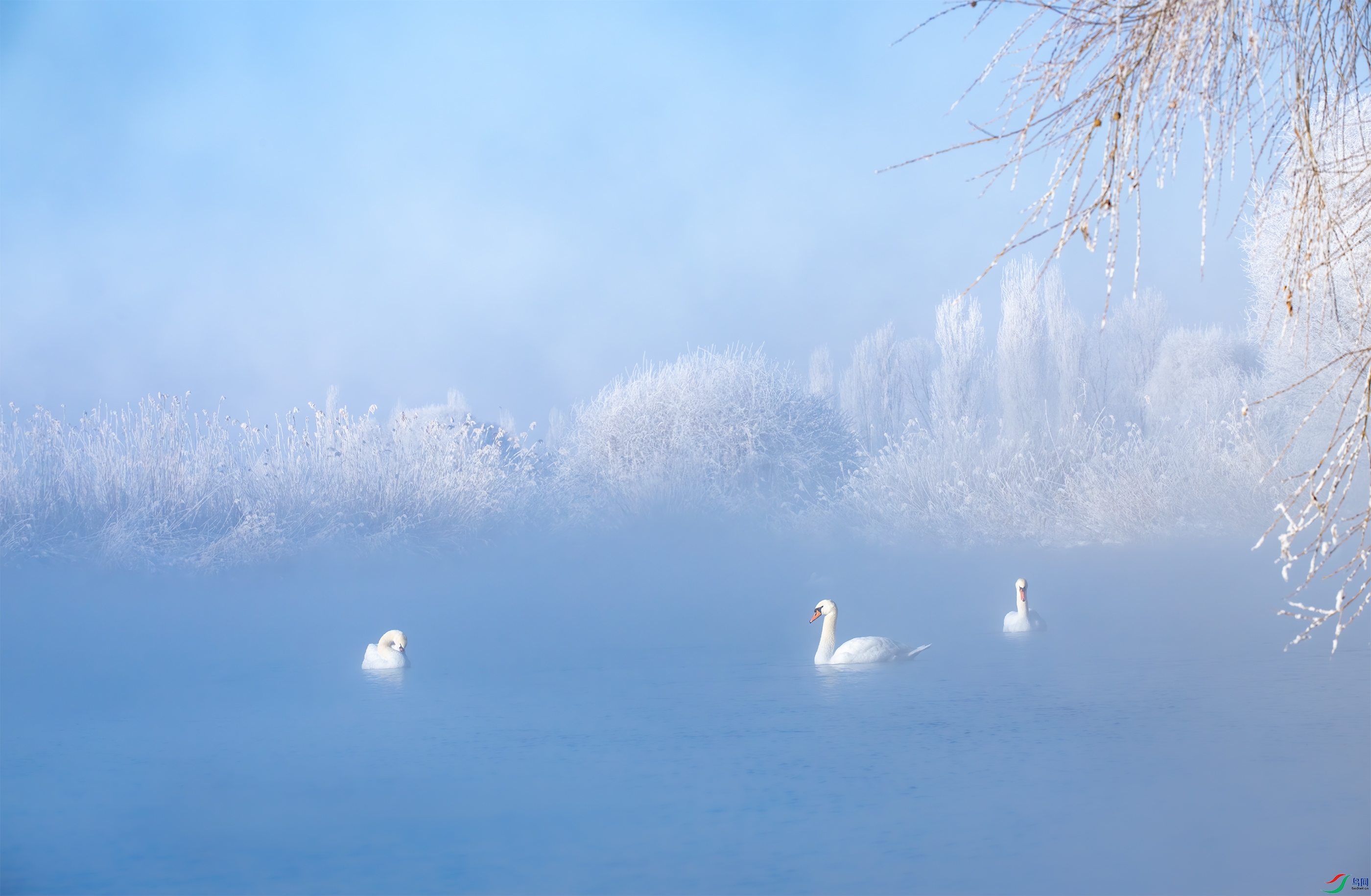 DSC_4701-12.jpg
