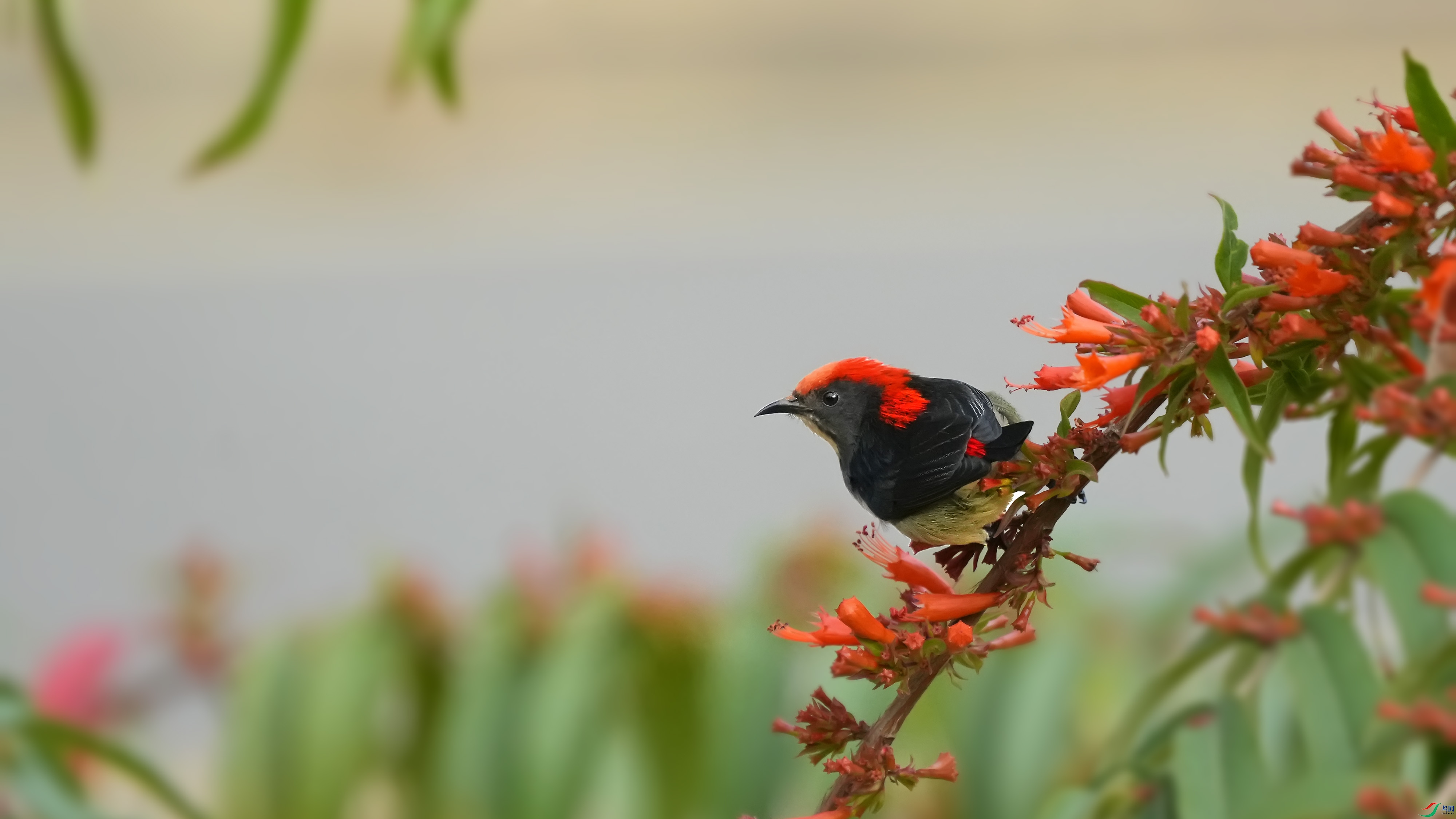 DSC04734 ����.jpg