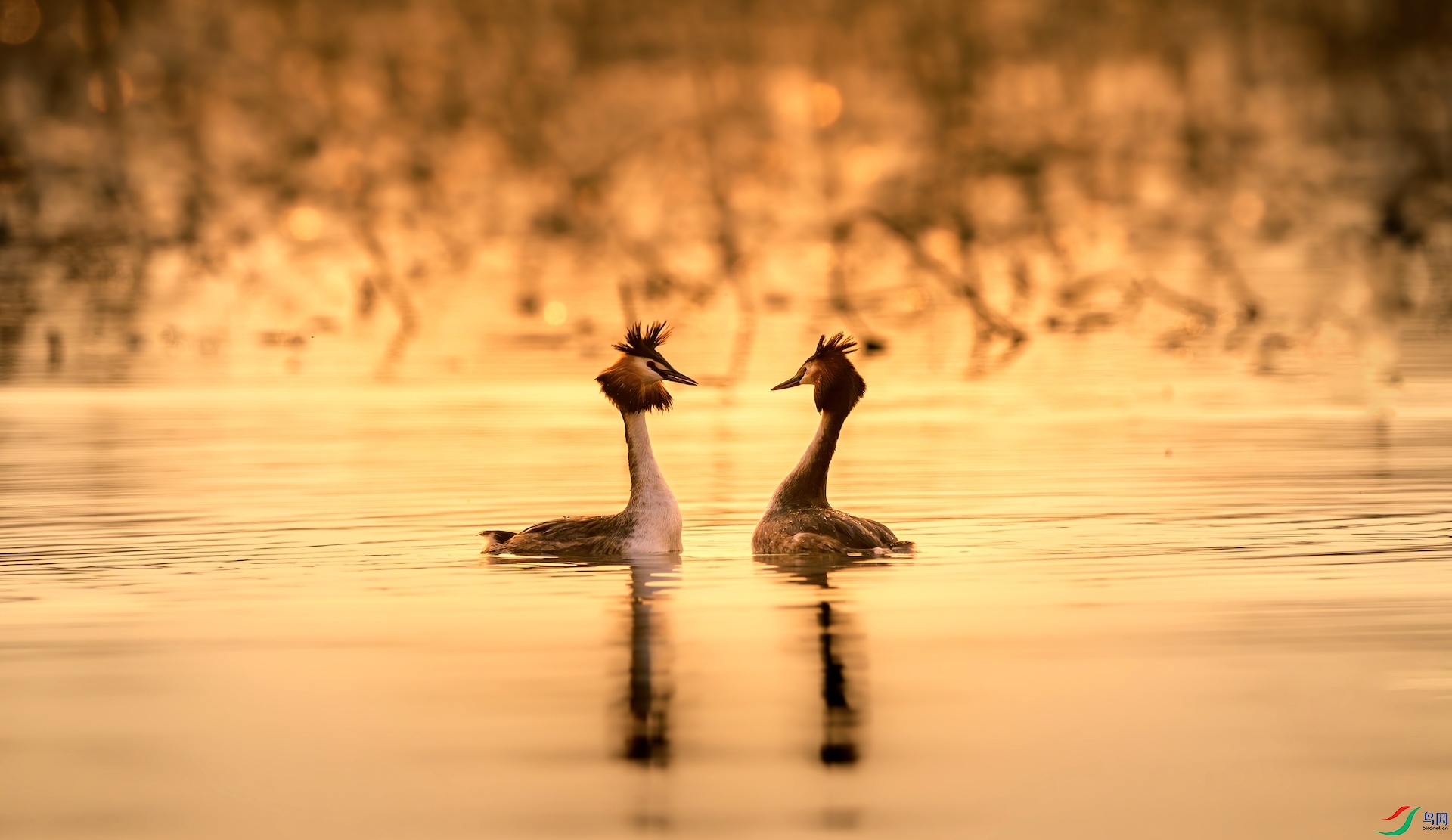 1_DSC6098-����ǿ-NR-1-1 2.jpeg