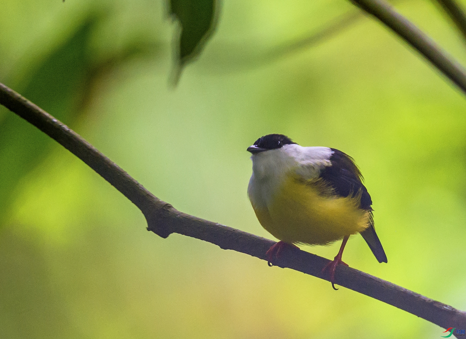 _DSC9364.jpg