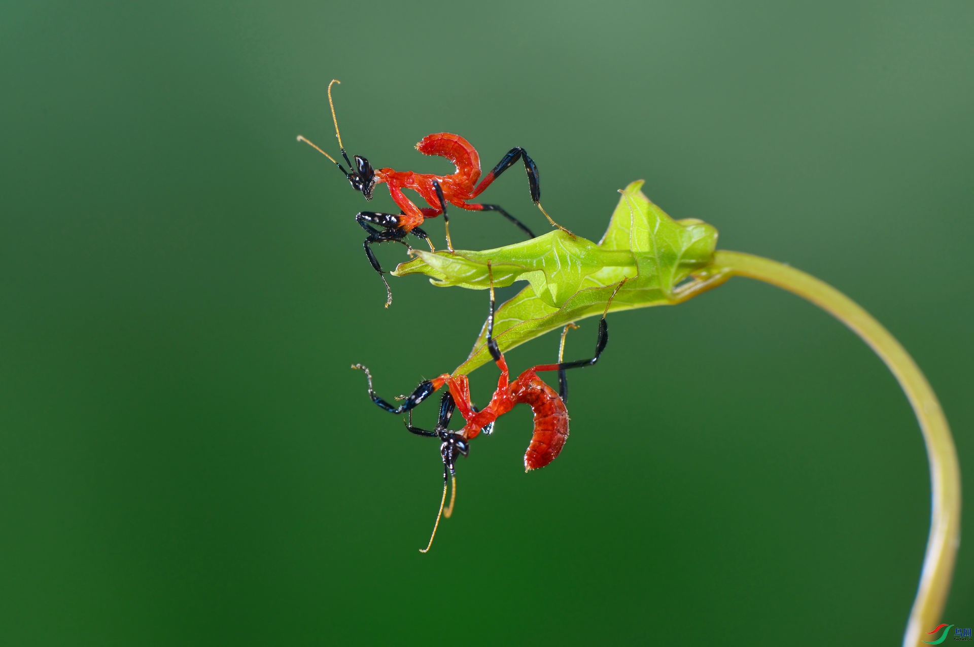 DSC_4129 �� ��������.jpg