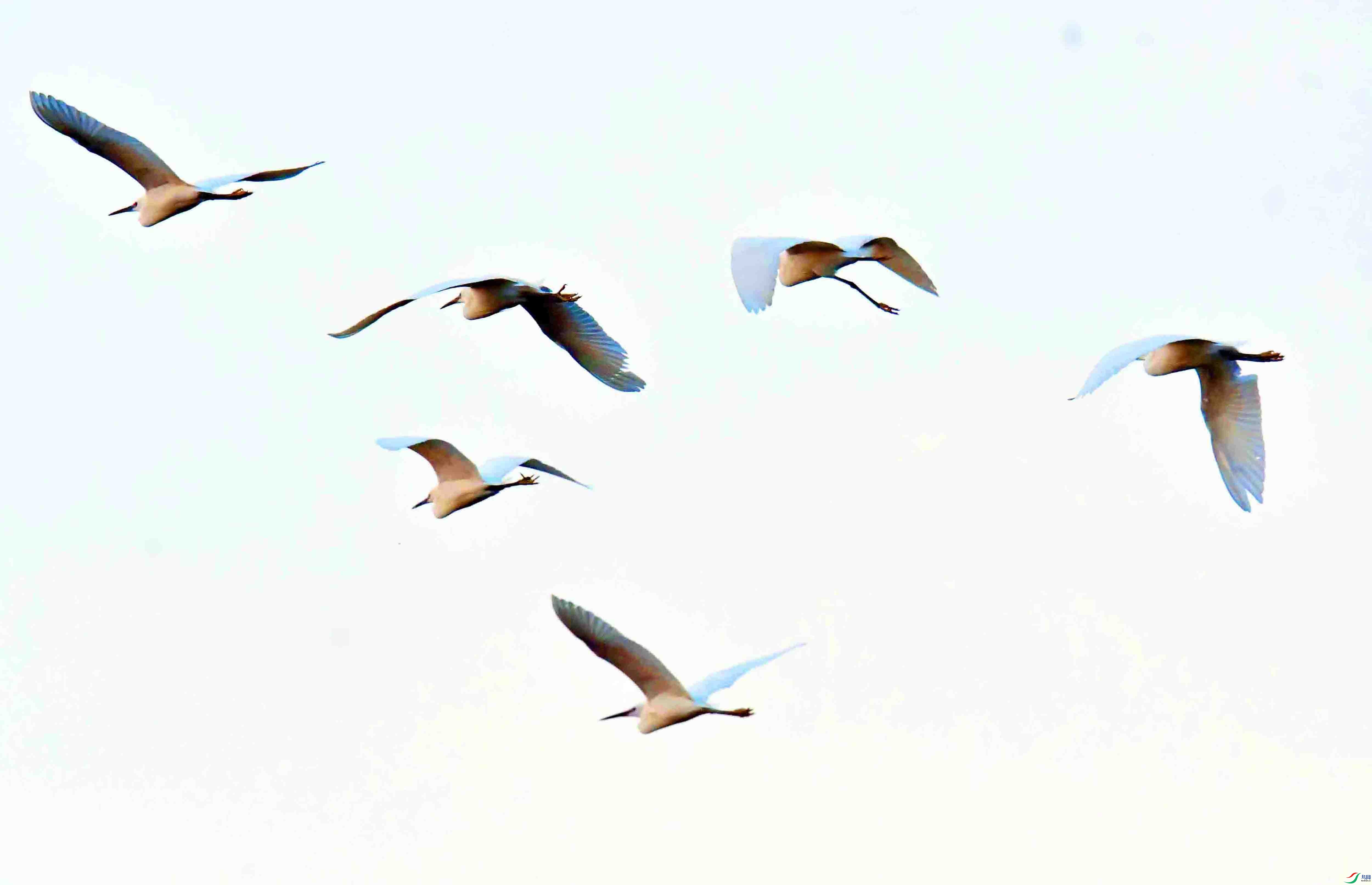 DSC_5468.JPG