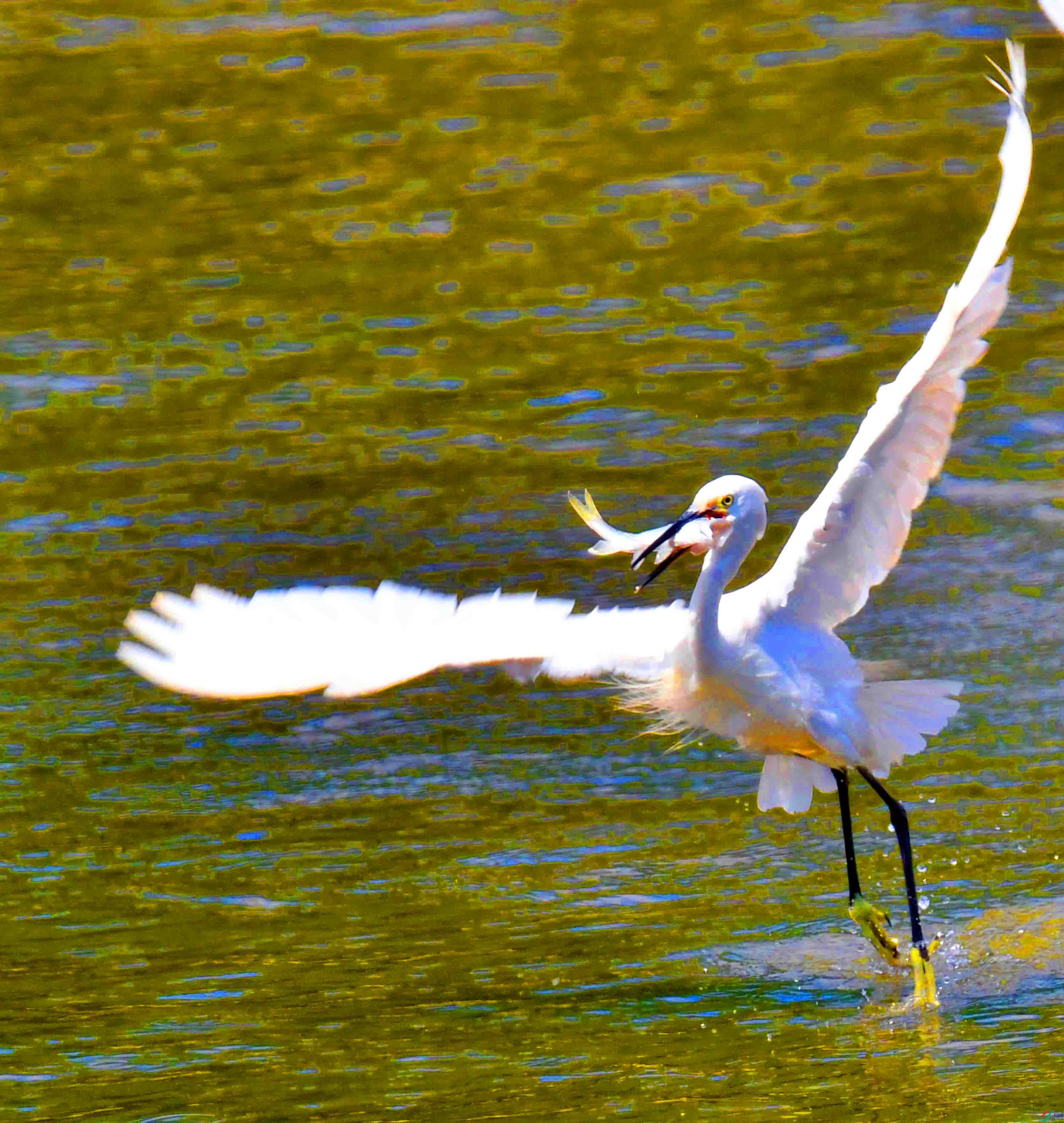 DSC_5869.JPG
