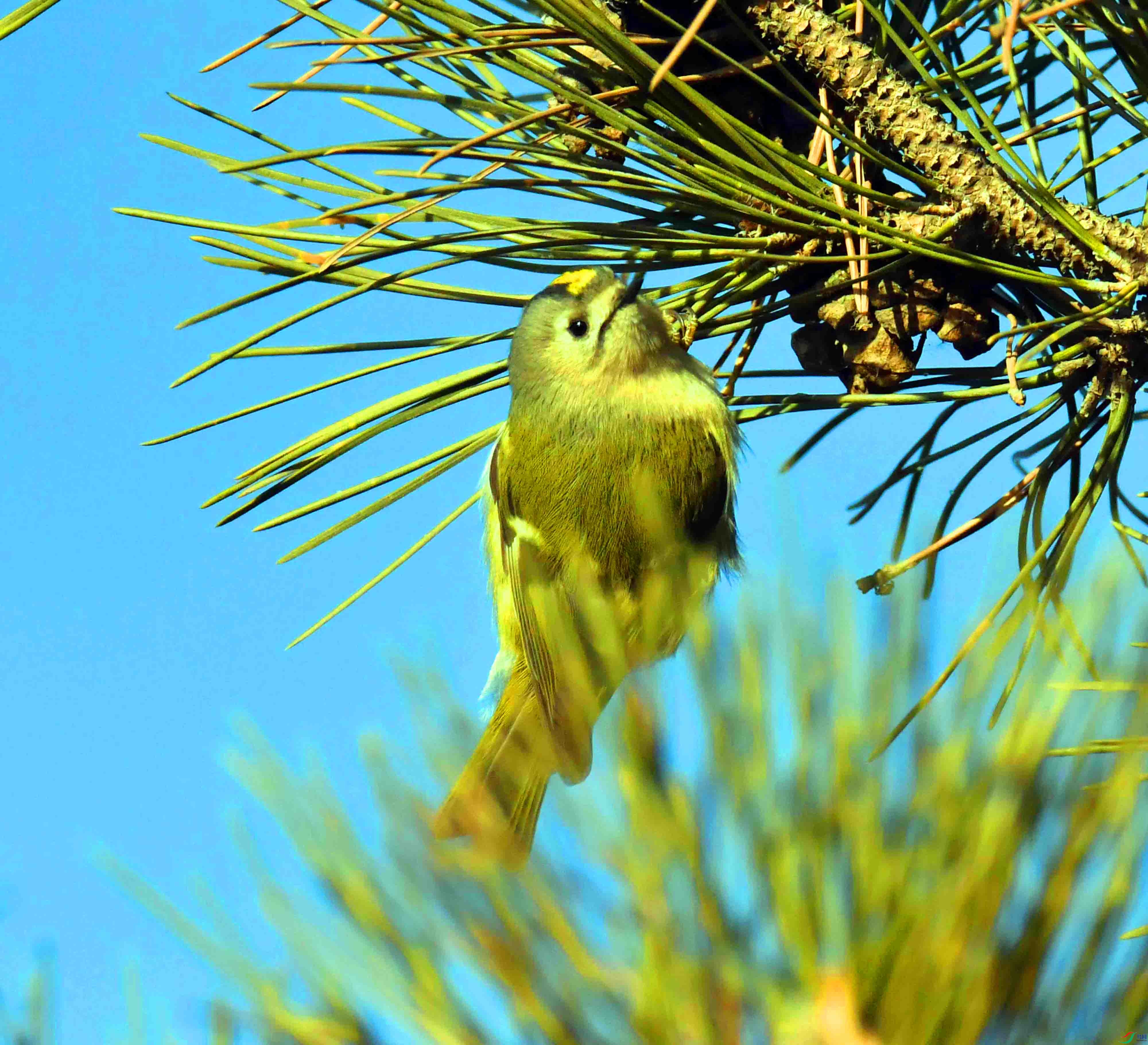 DSC_9823.JPG