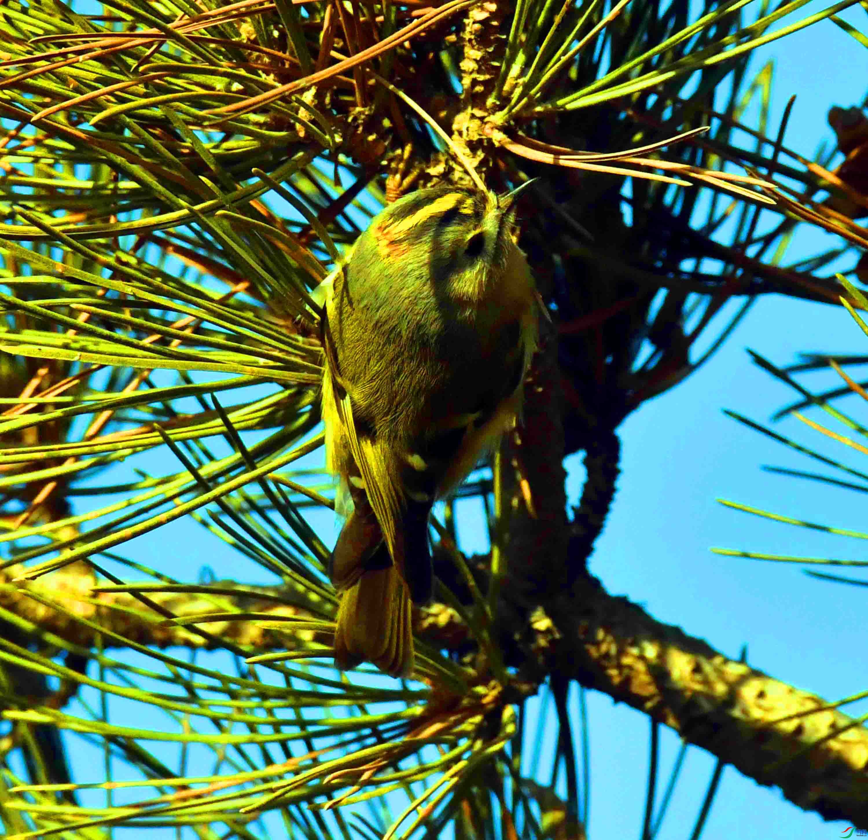 DSC_9881.JPG