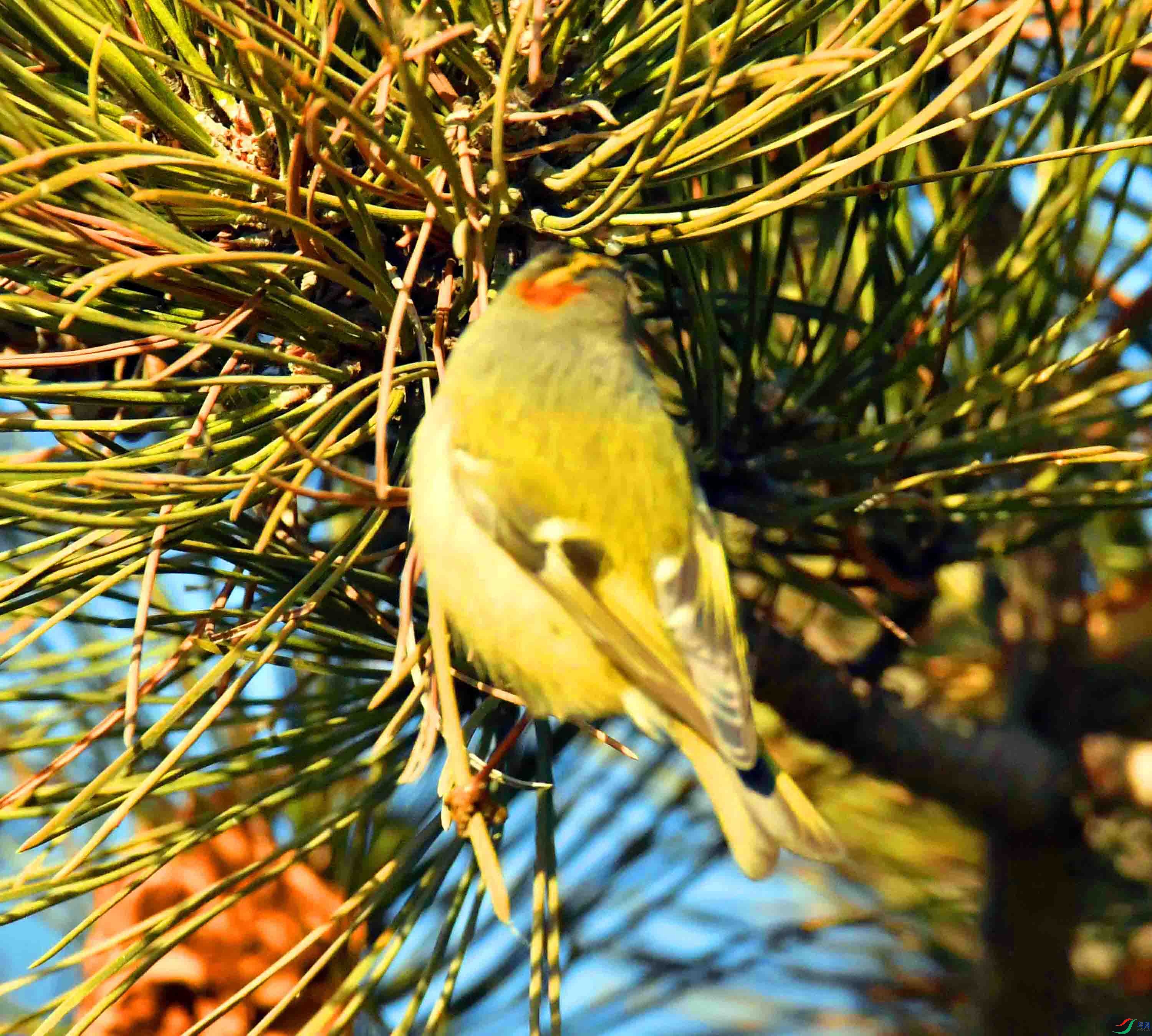 DSC_9973.JPG