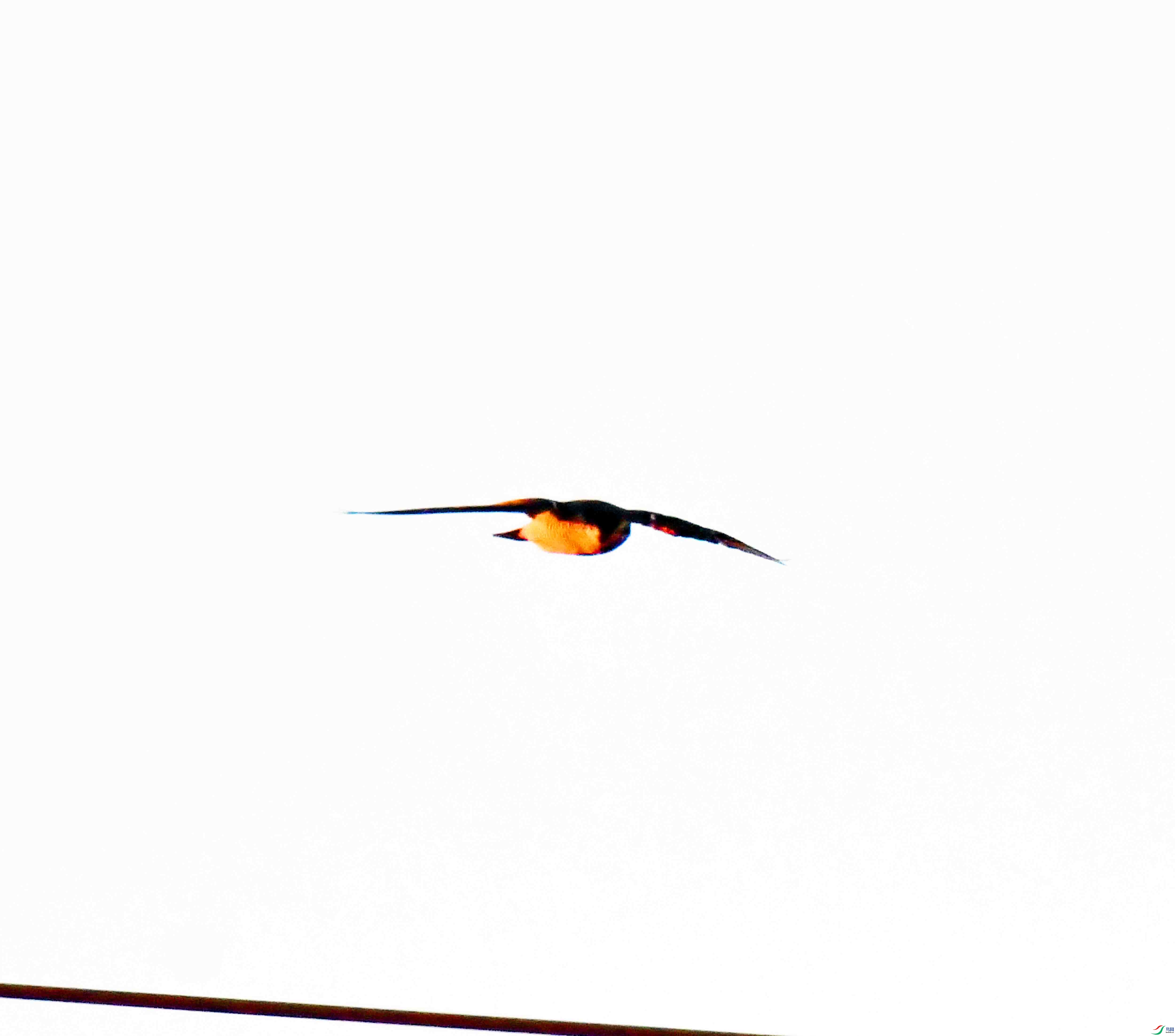 DSC_2371.JPG