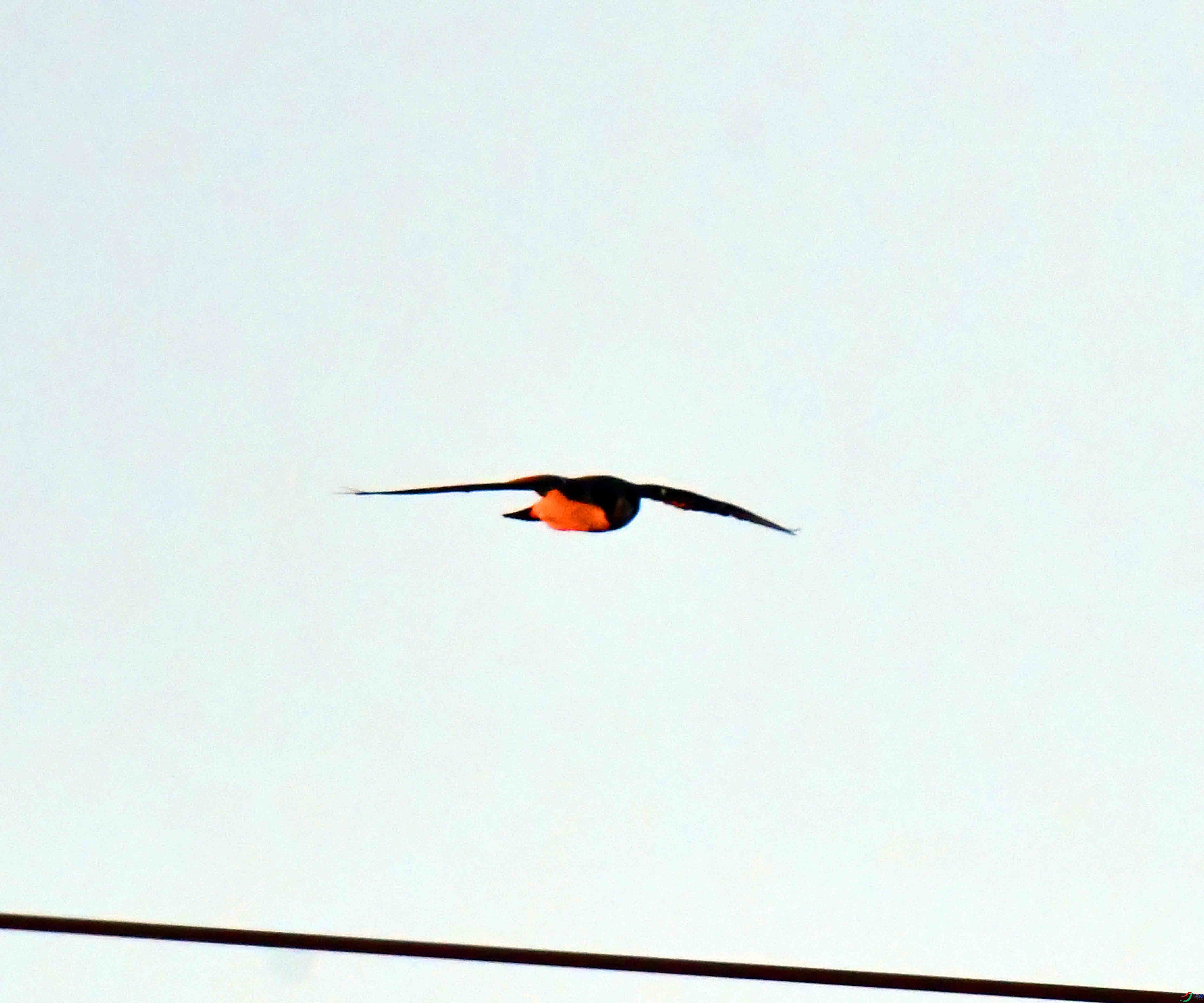 DSC_2372.JPG