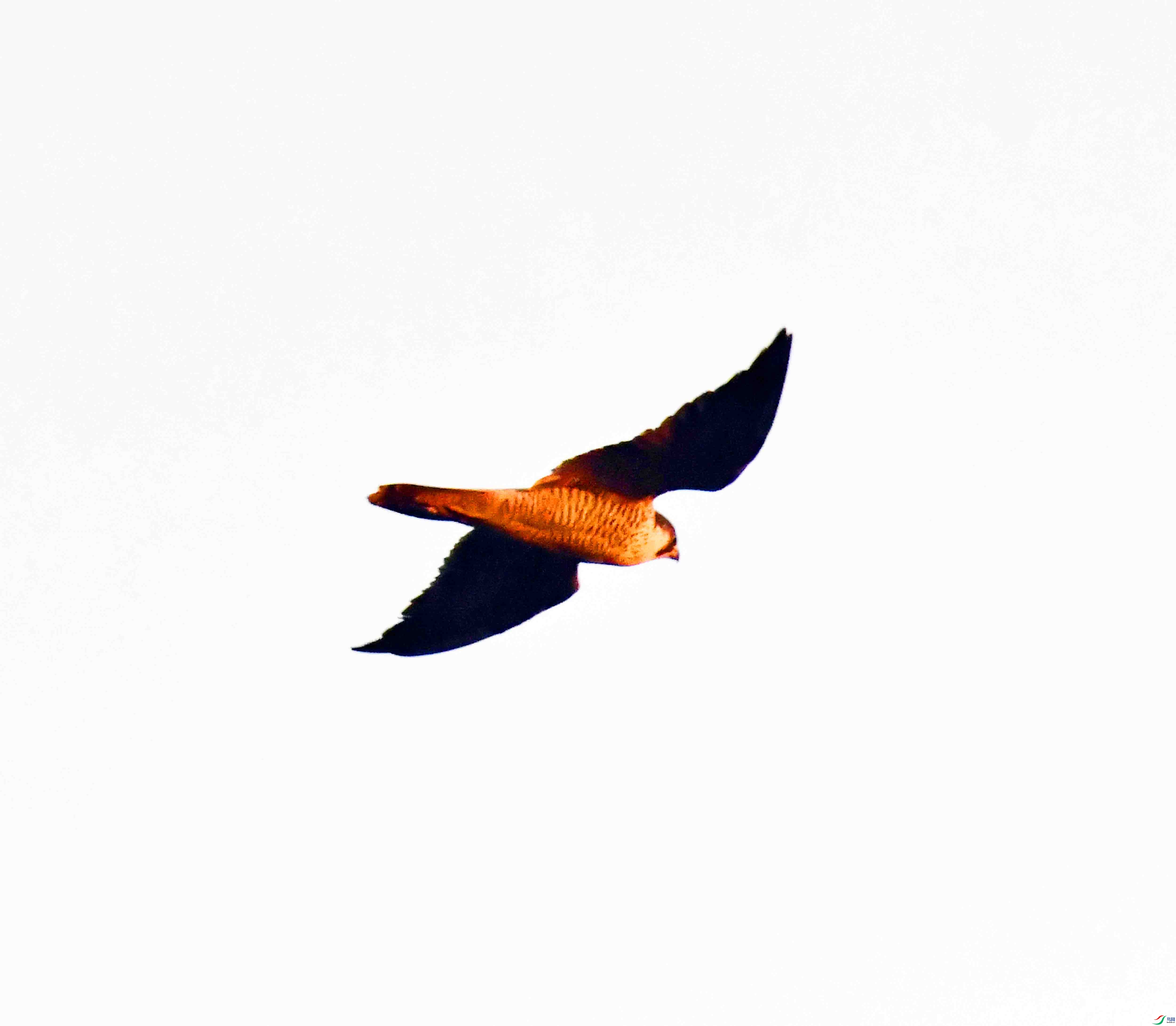 DSC_3048.JPG