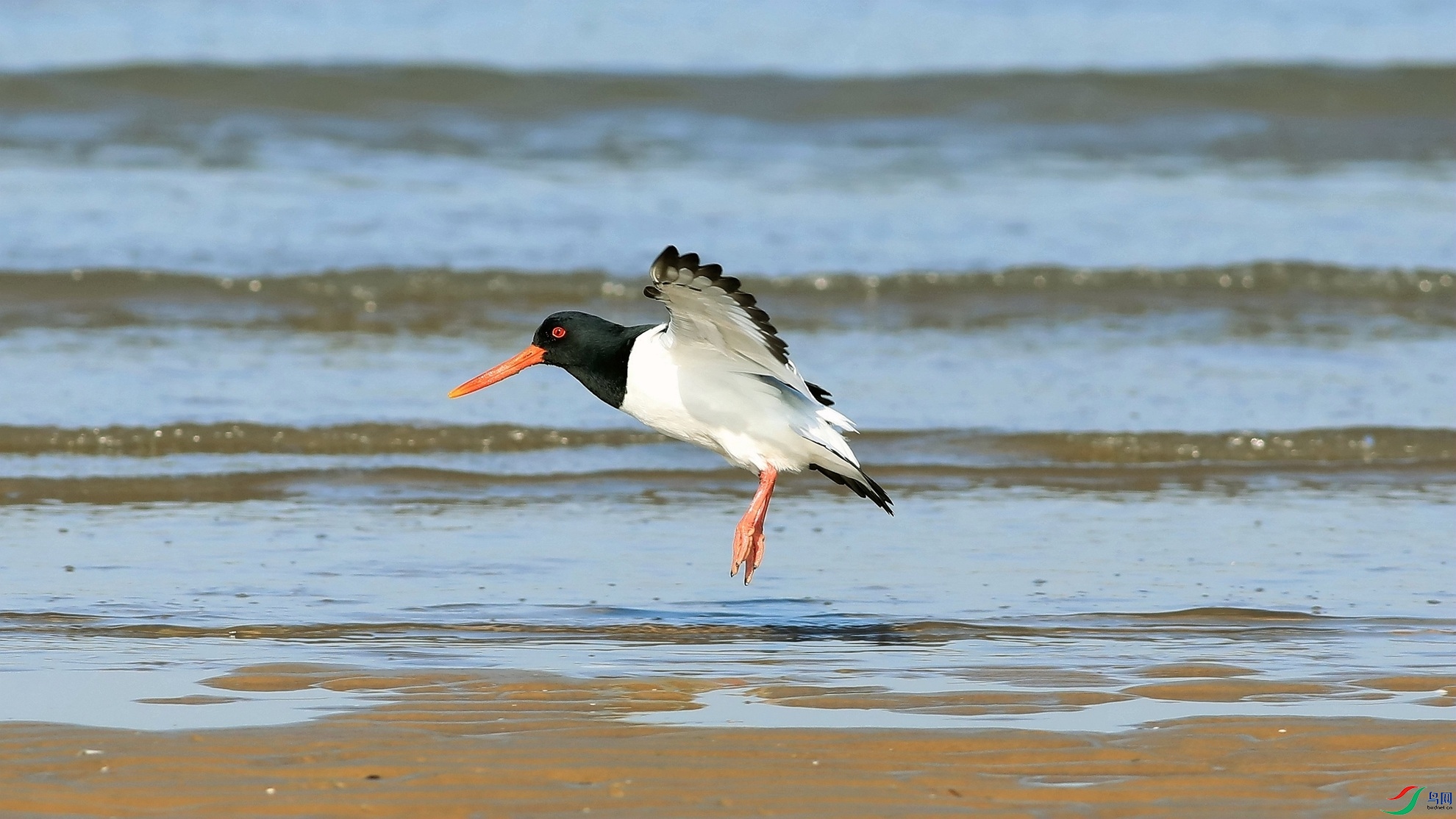 ��������1