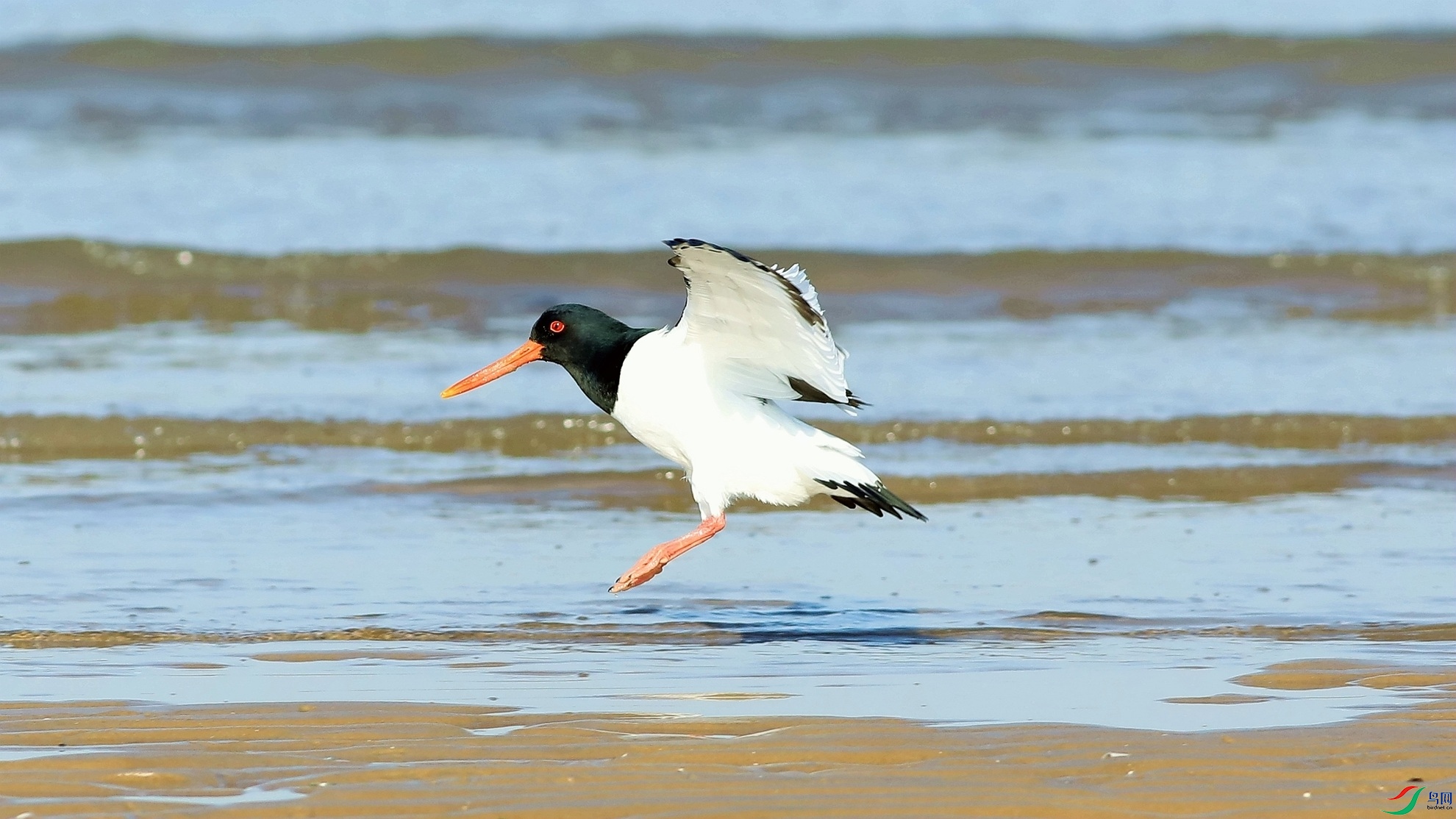 ��������2