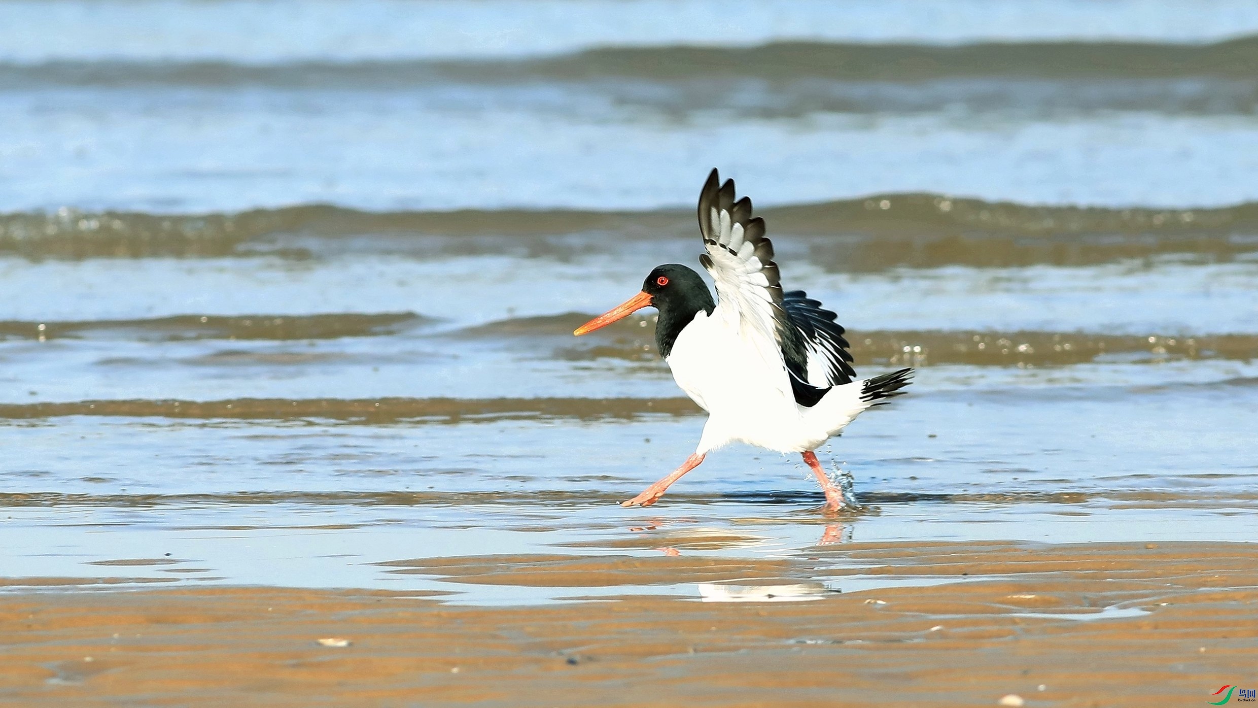 ��������3