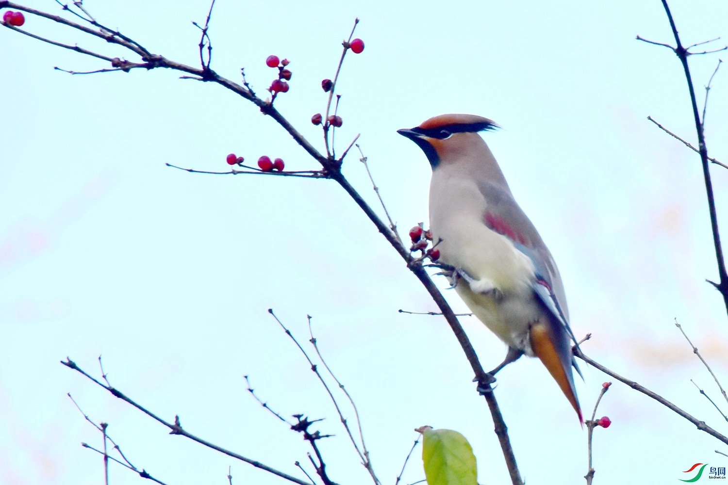 DSC_5830.JPG