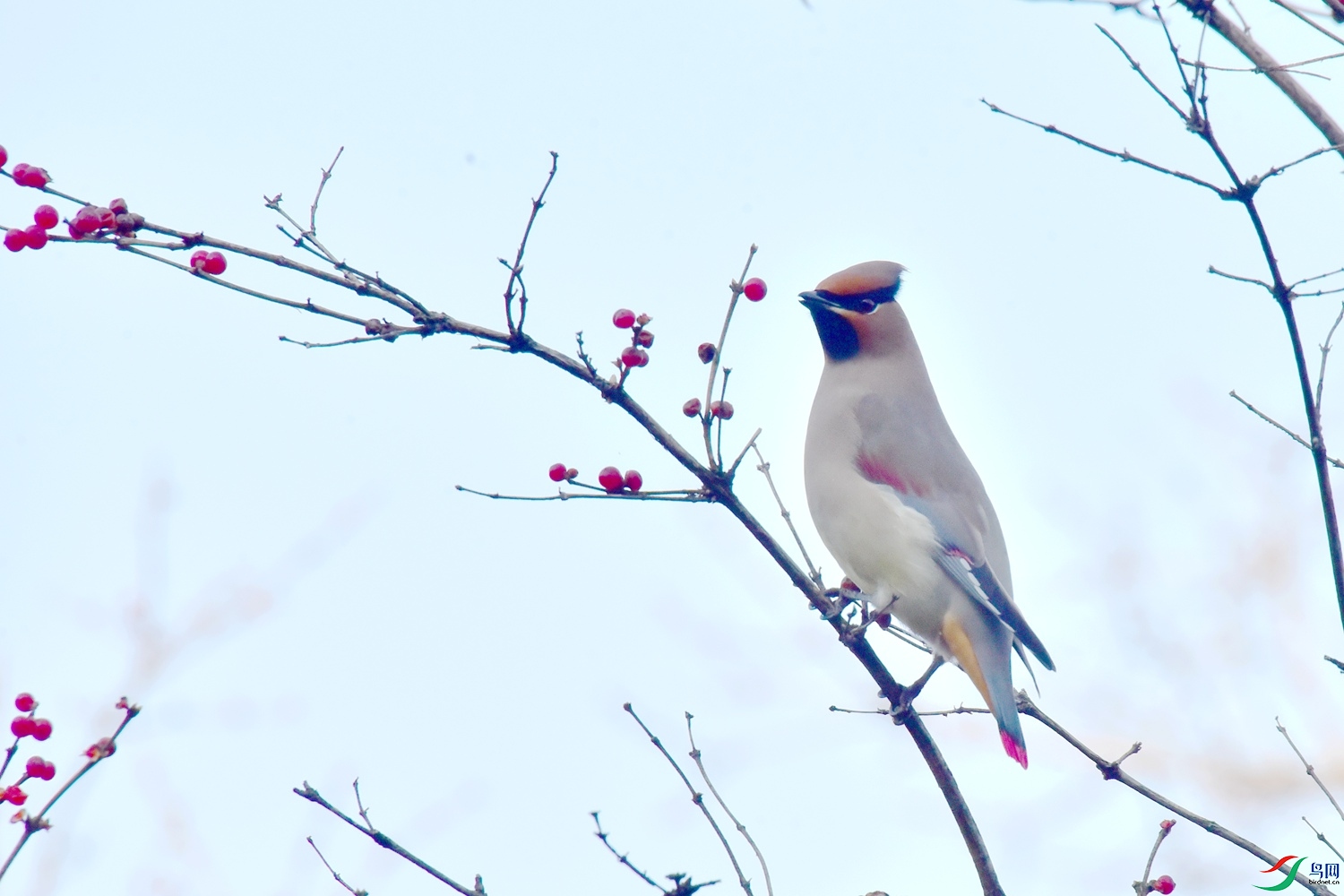DSC_5835.JPG