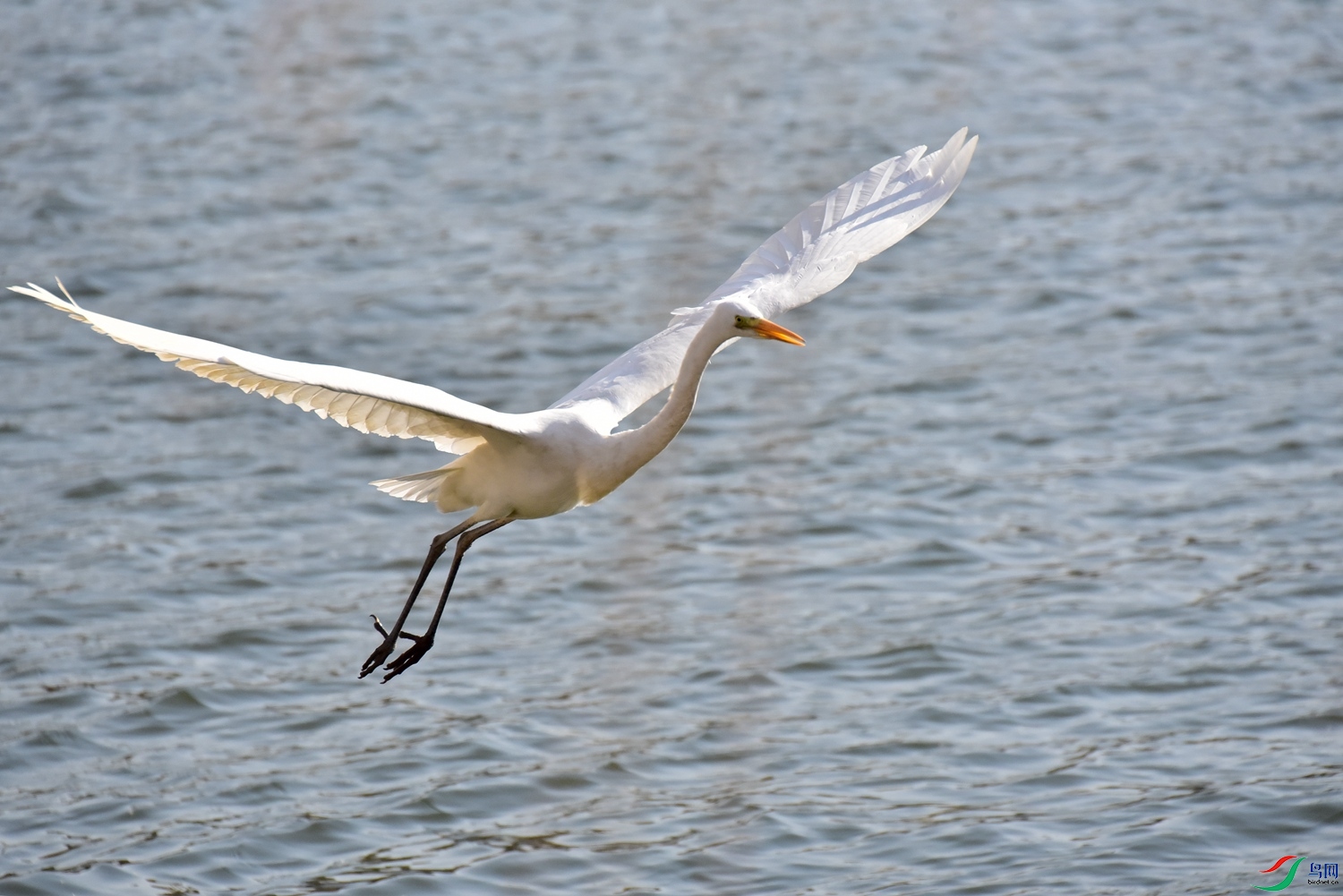 DSC_6075.JPG