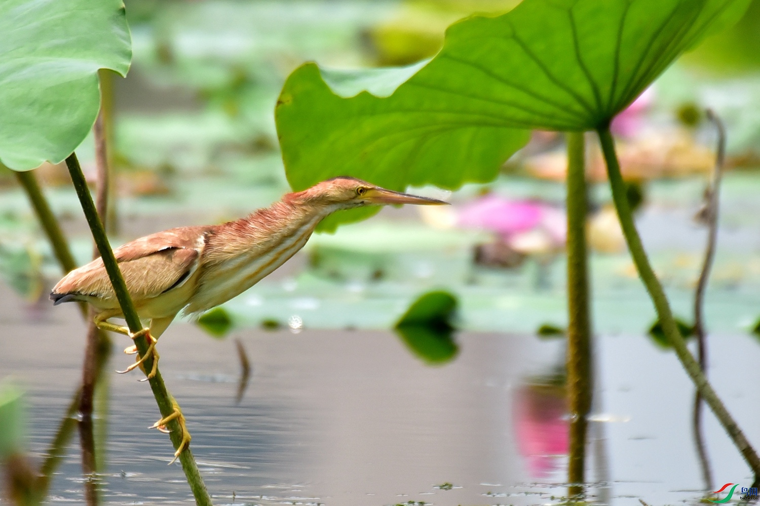 DSC_7689.JPG