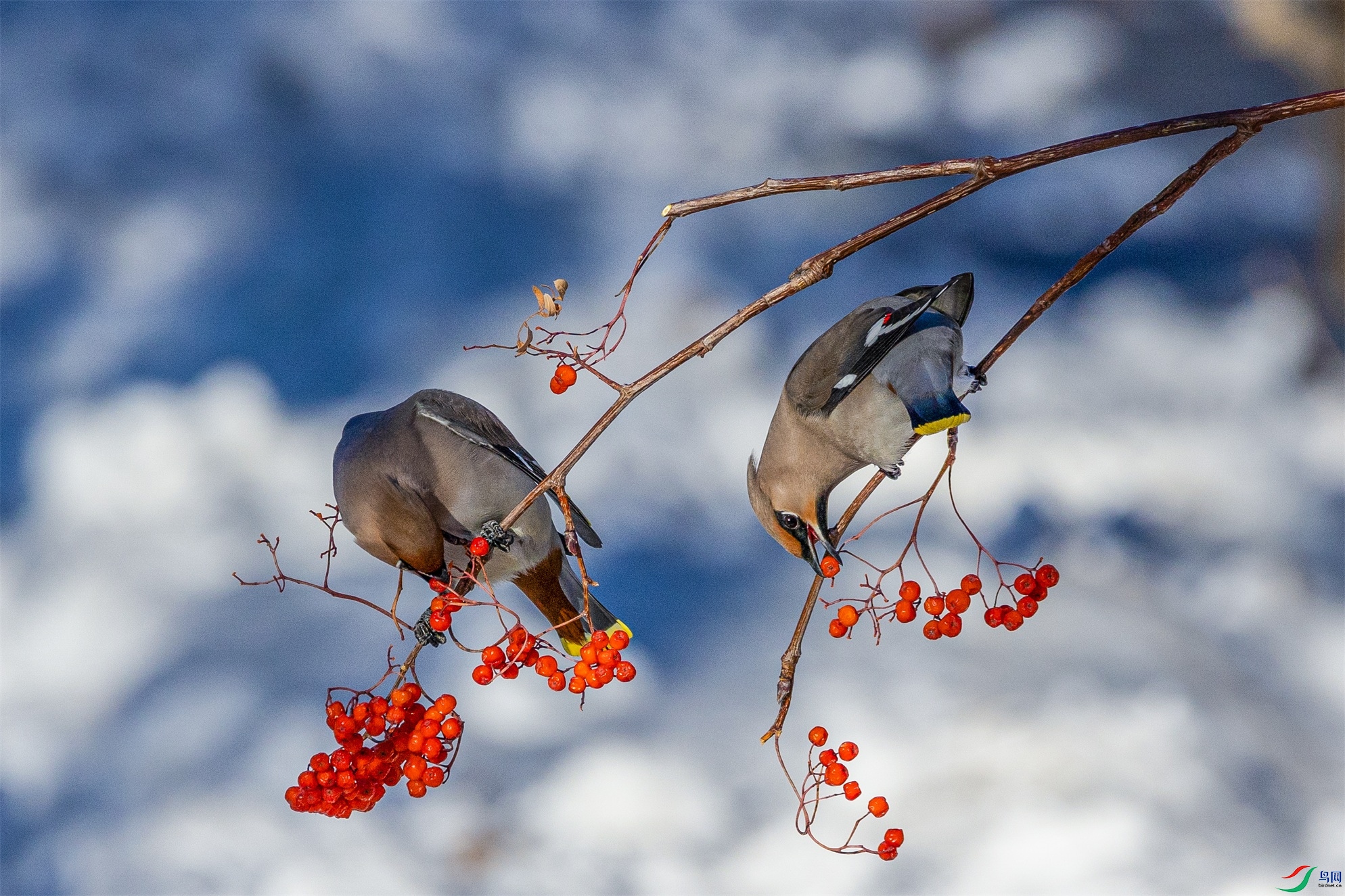 1K3A3614 ����1.jpg