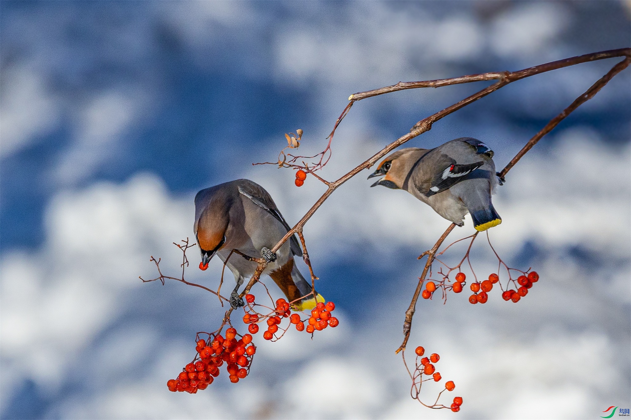 1K3A3618 ����1.jpg