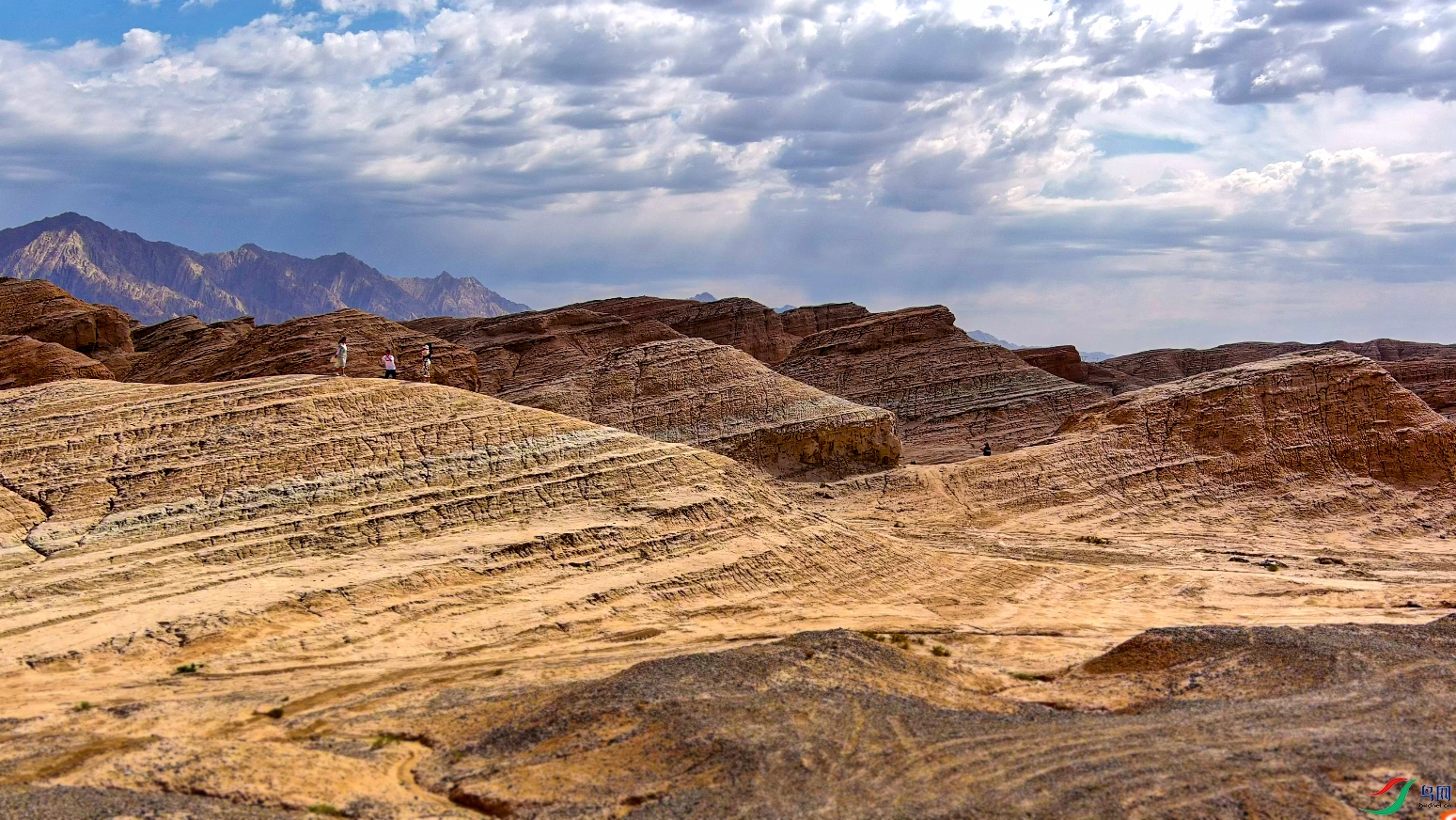 ΢��ͼƬ_20250228103303 ����.jpg