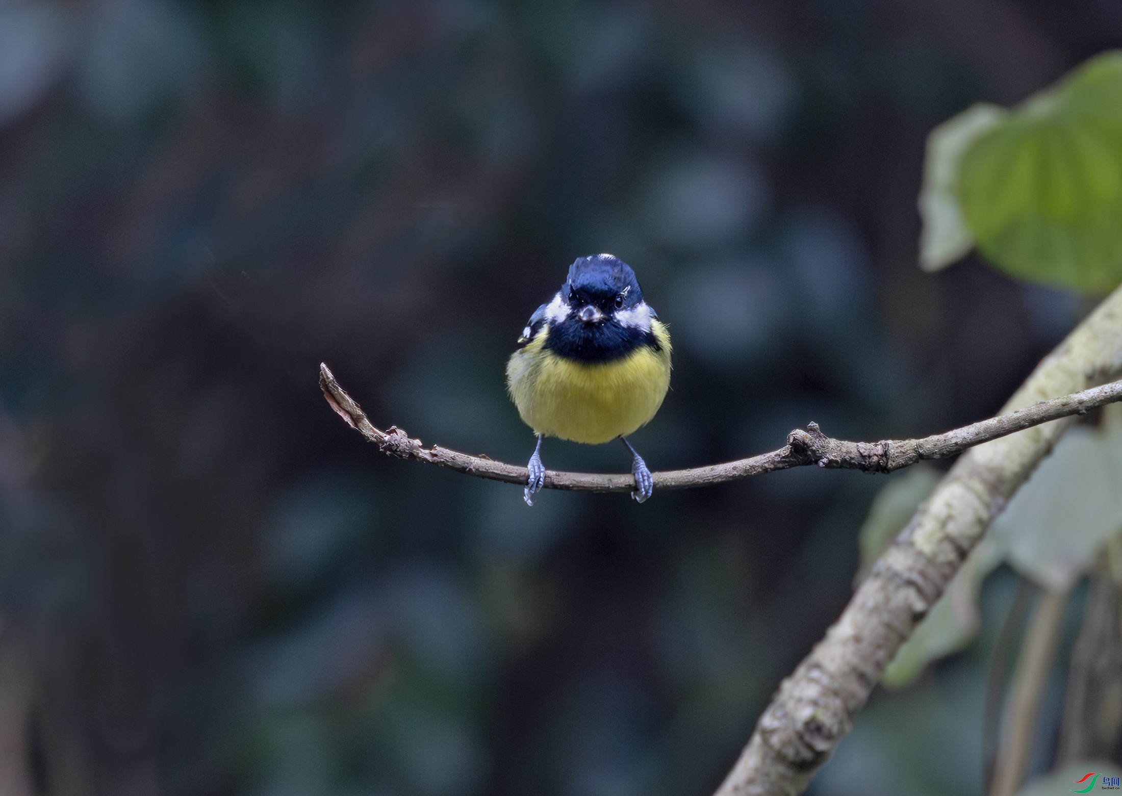 2I1A6623-����ǿ-NR ����.jpg