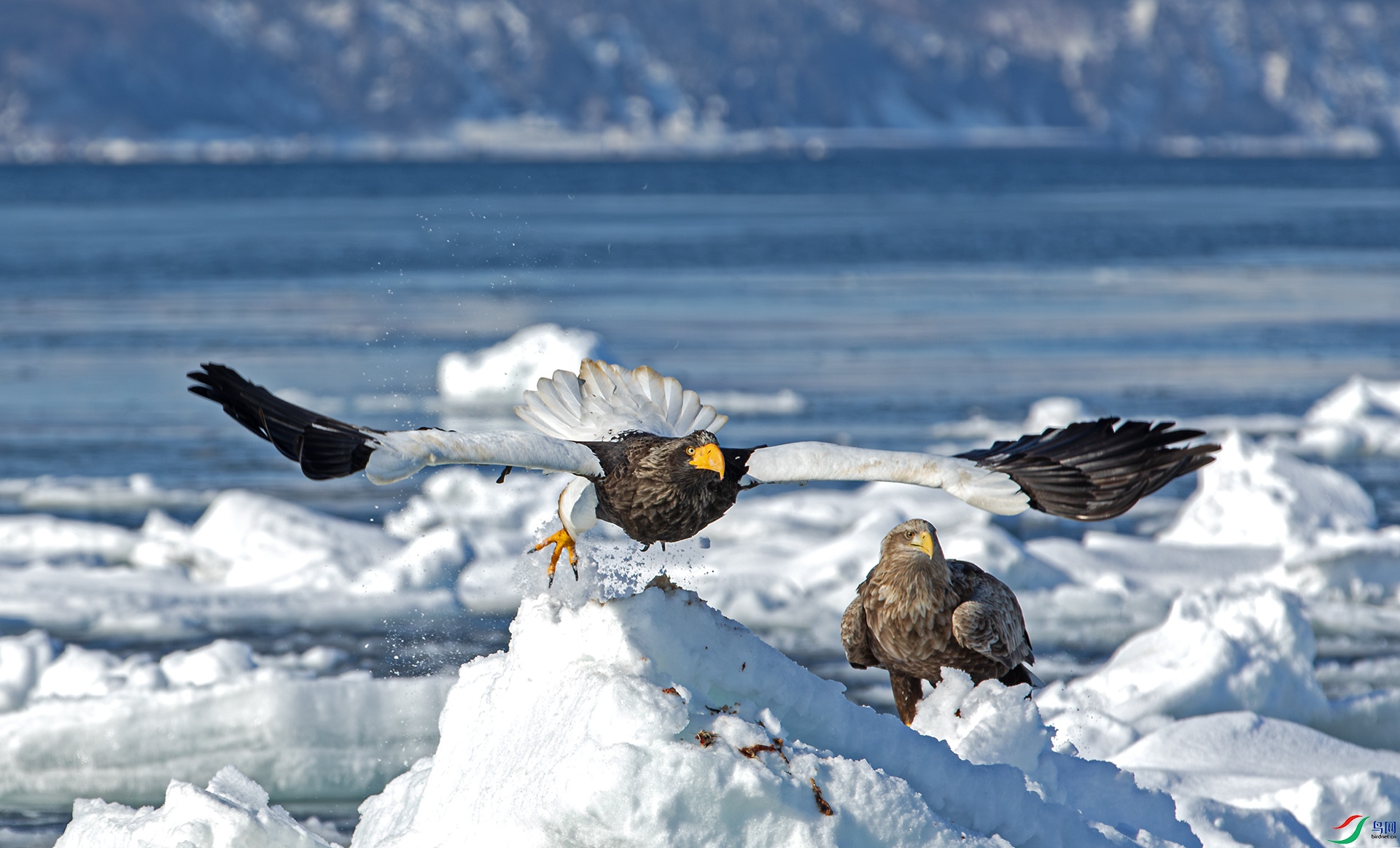 ����Ŀ��