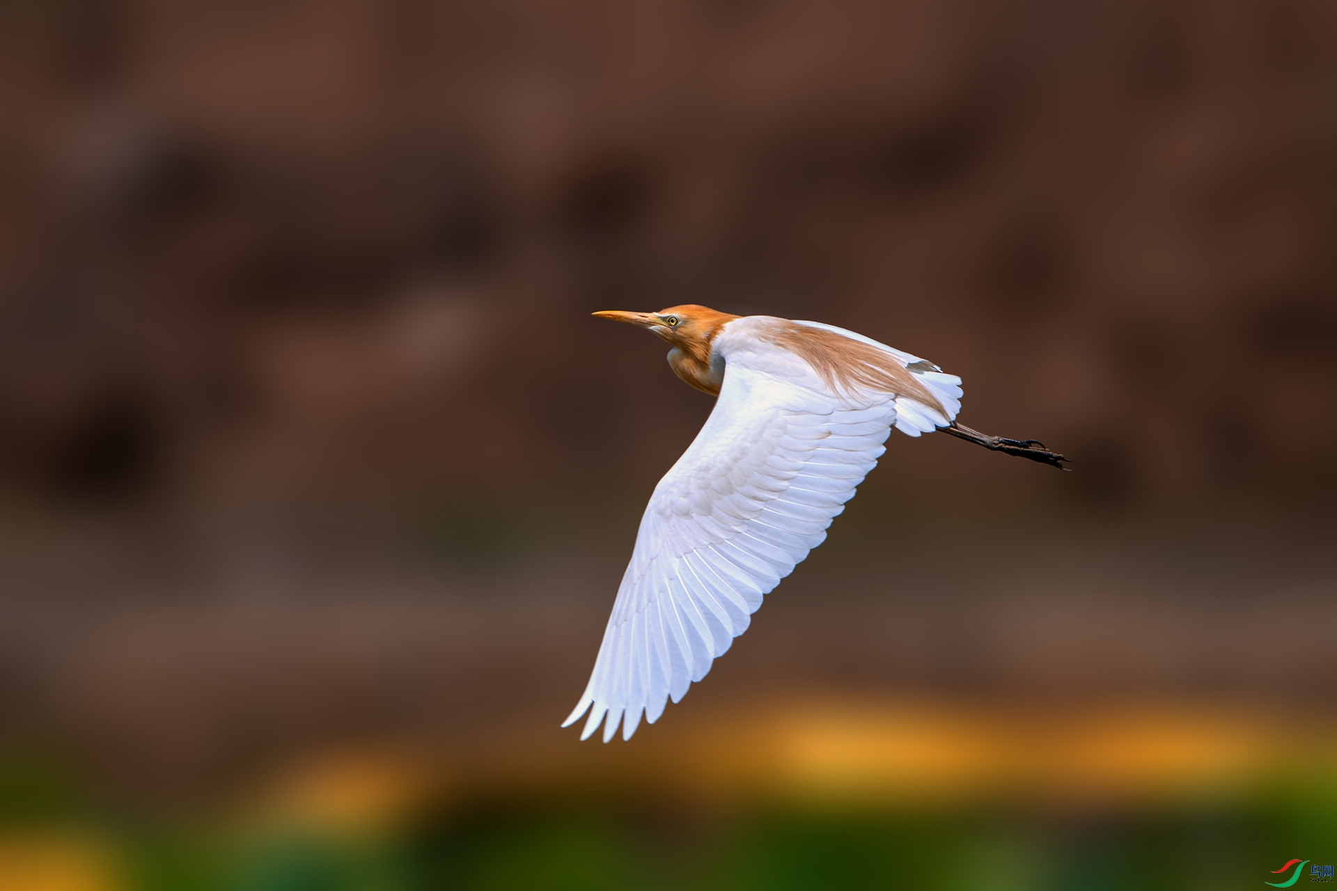_AUU3925ţ����(24.5.12).jpg