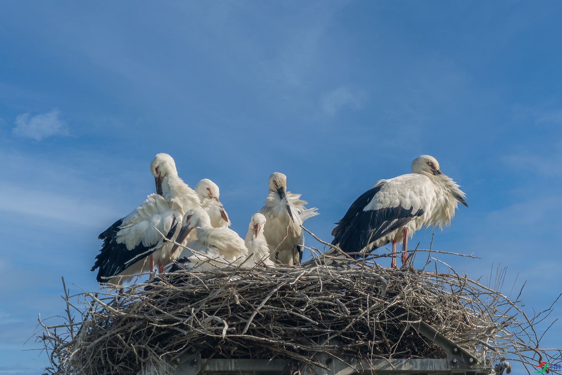 _DSC7327 ����.jpg