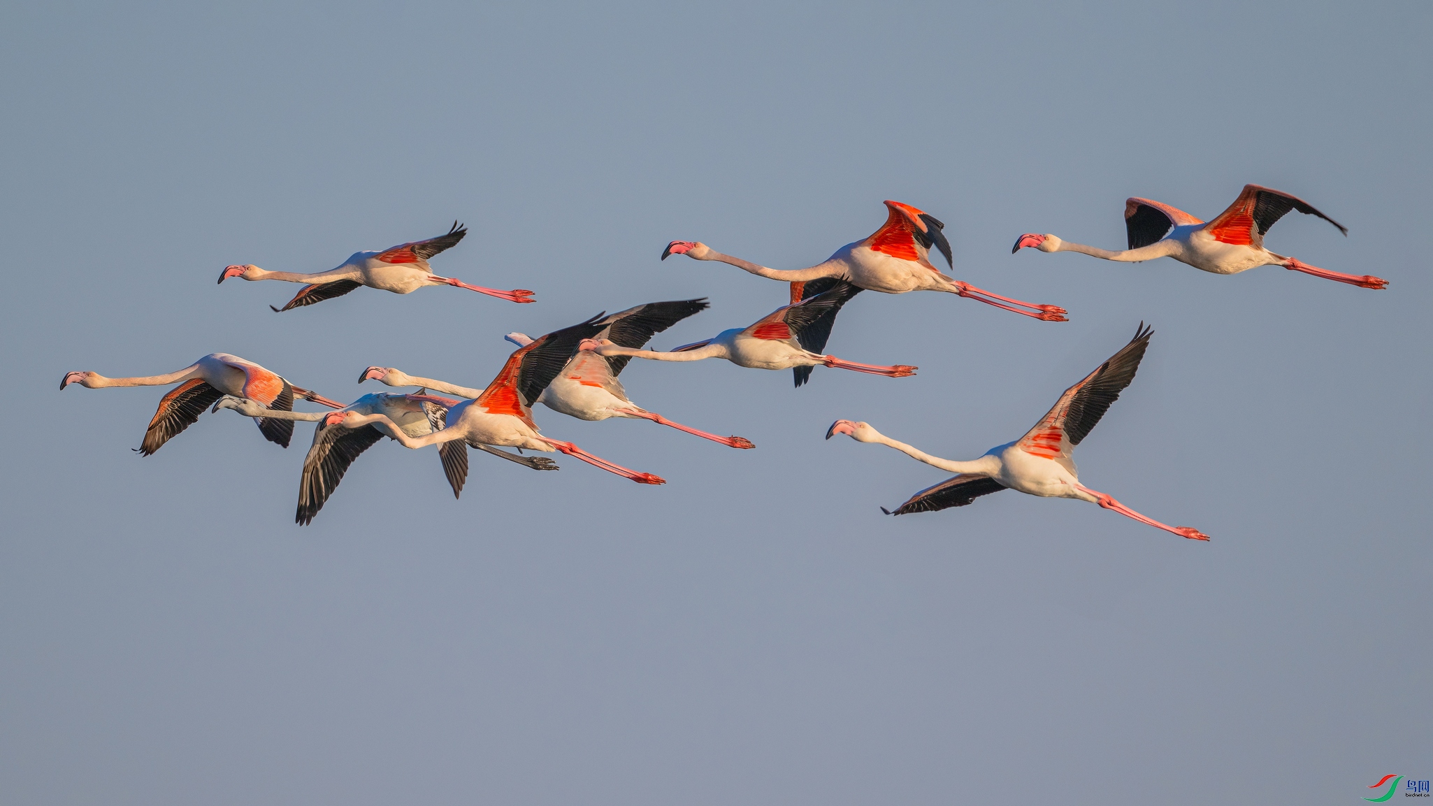 DSC_2166 ����01.jpg