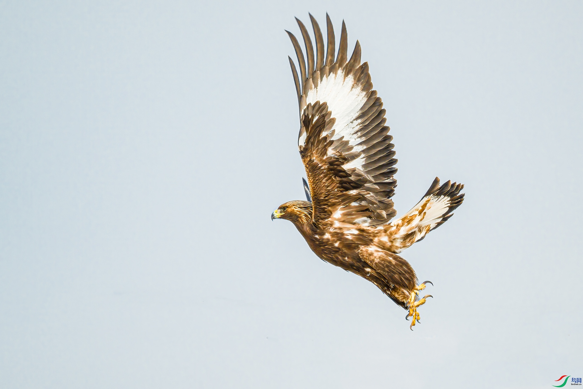 DSC_6107 ����.jpg