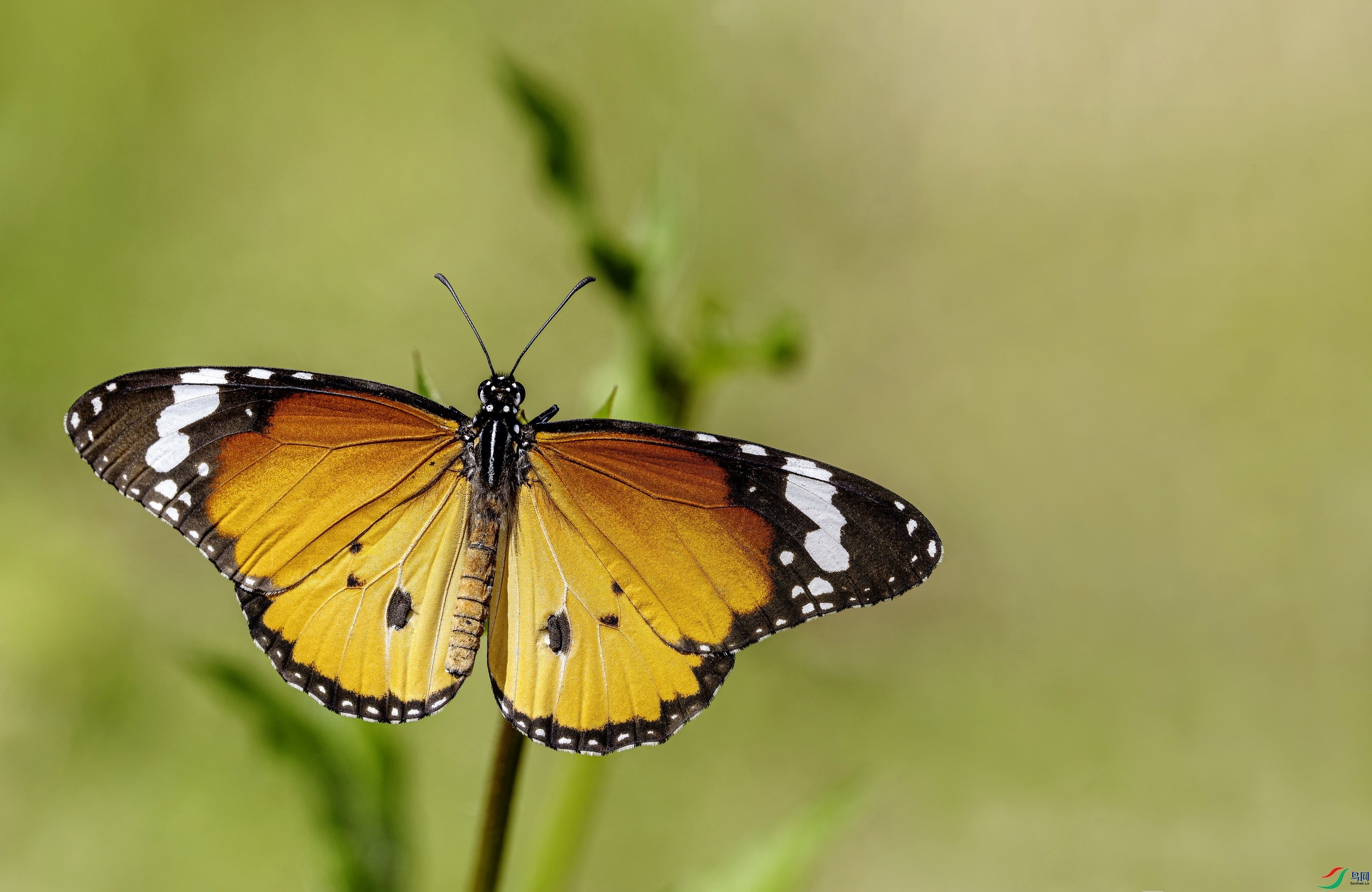 ��ߵ� (13)-1.jpg