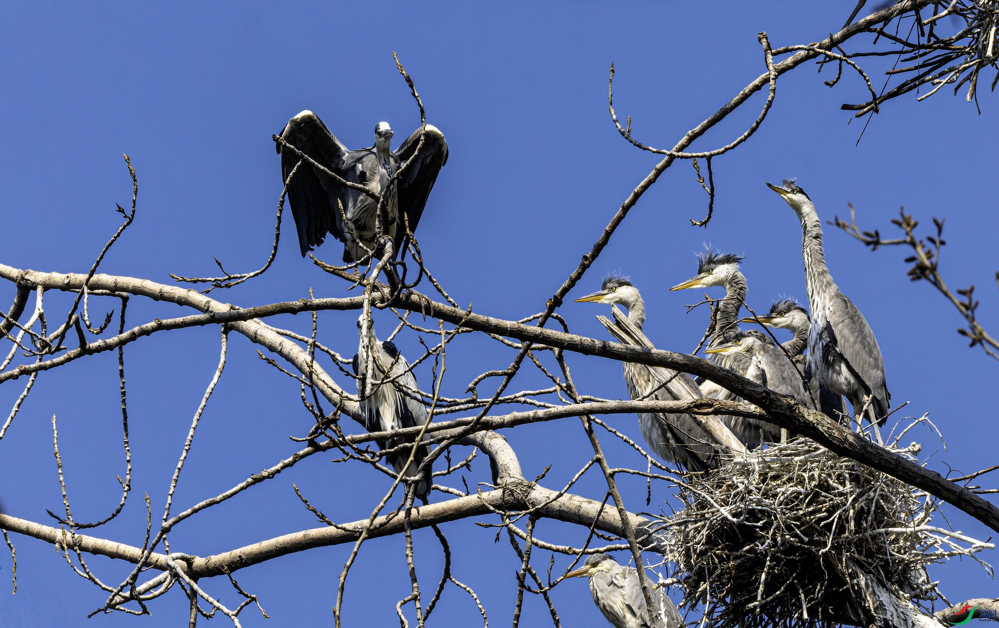 ���� (1)-1.jpg