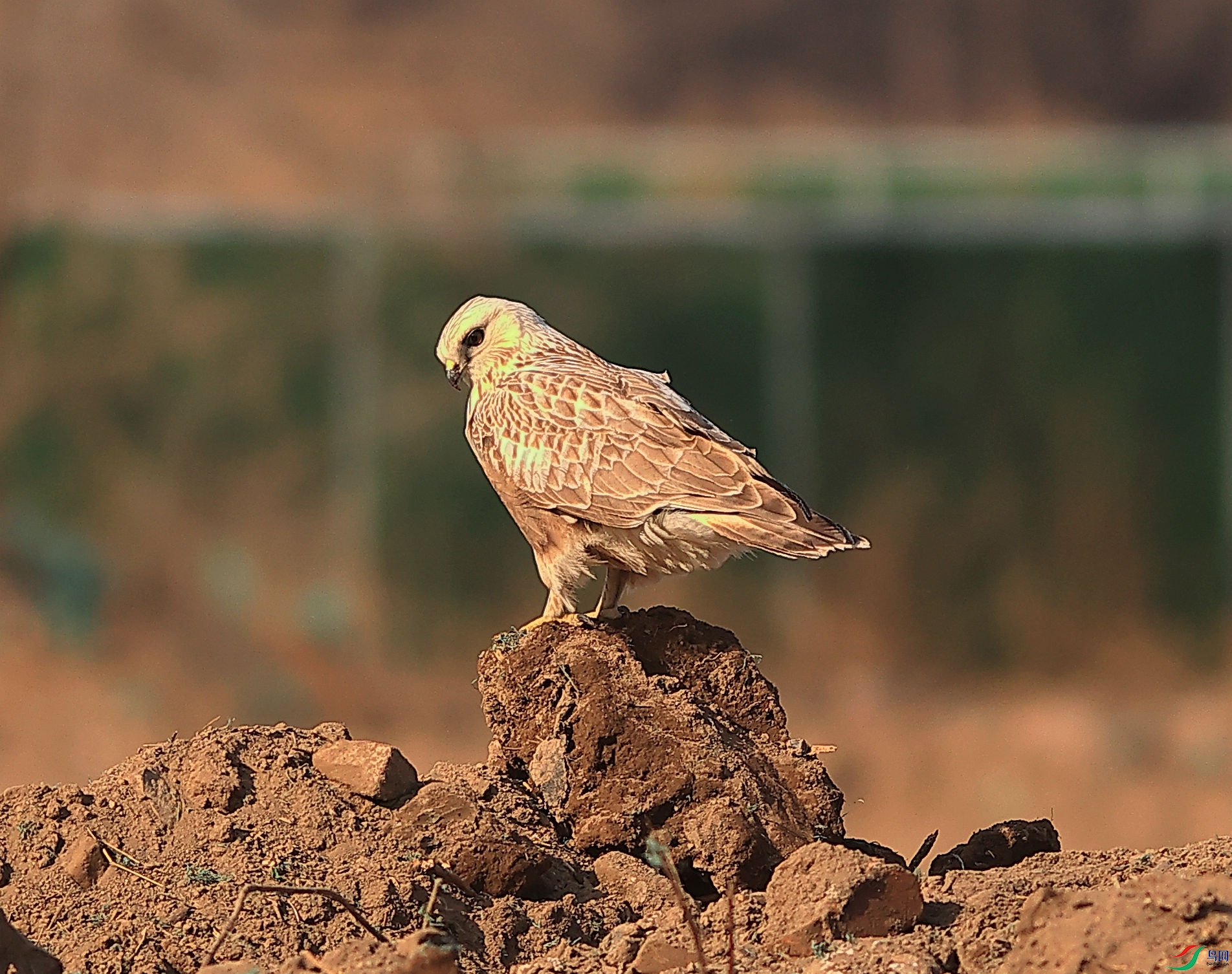 0314.jpg