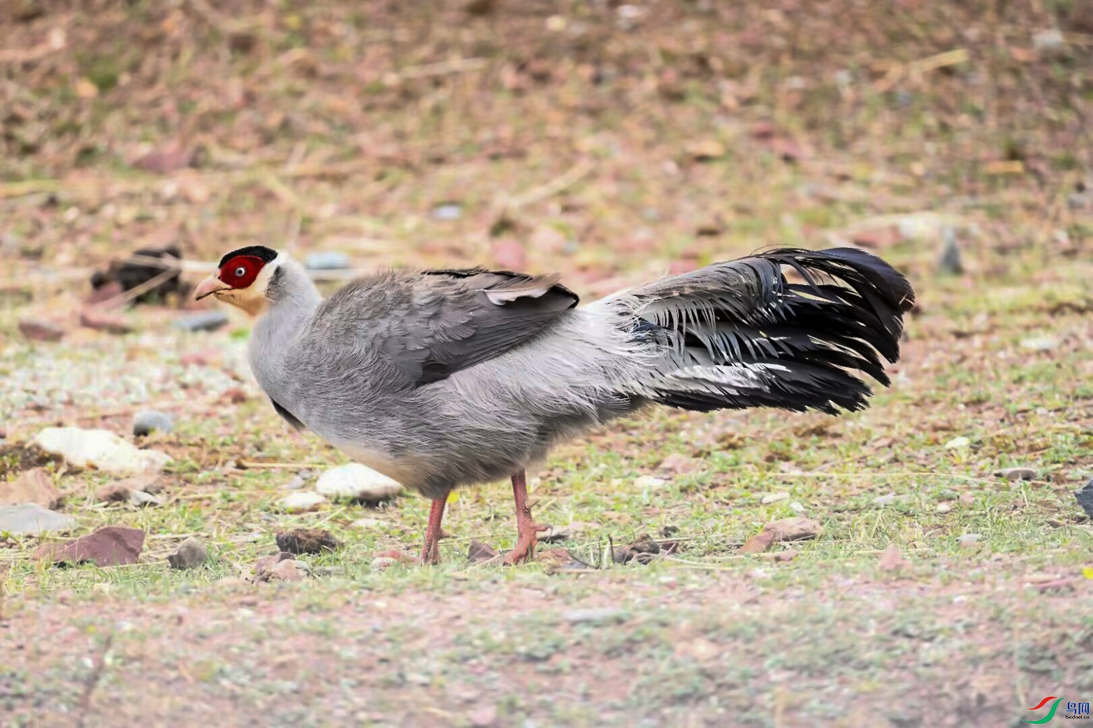 IMG_7352 ����.jpeg