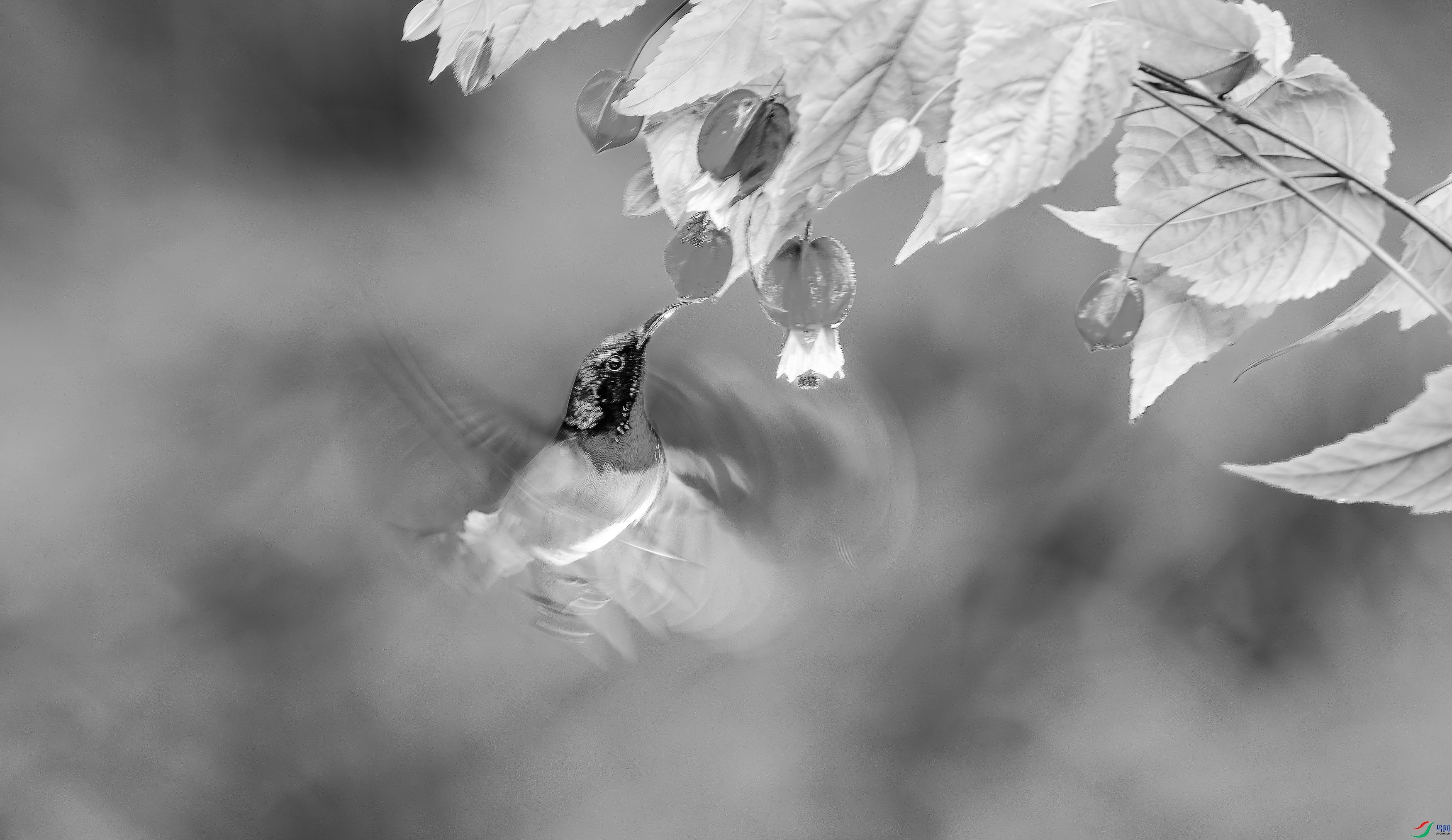 412A4288-����ǿ-����-1_����-1-2_����=00.jpg