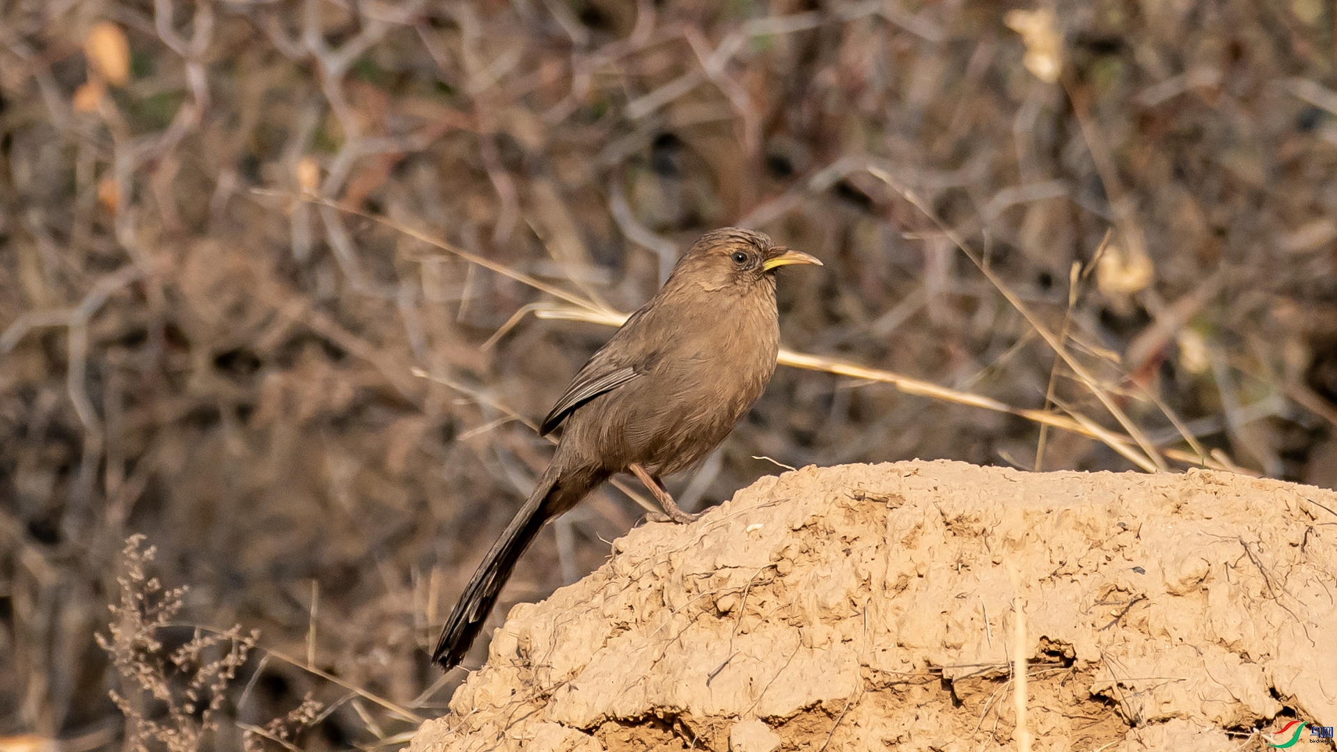 DSC_6995.jpg
