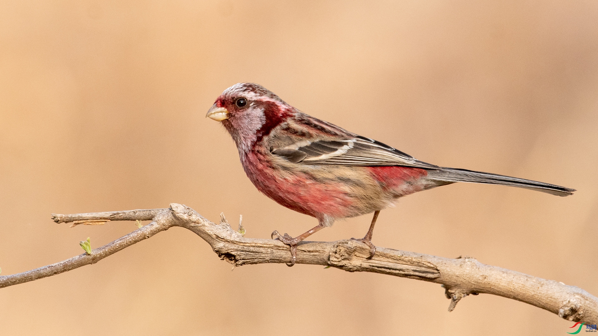 DSC_7099.jpg