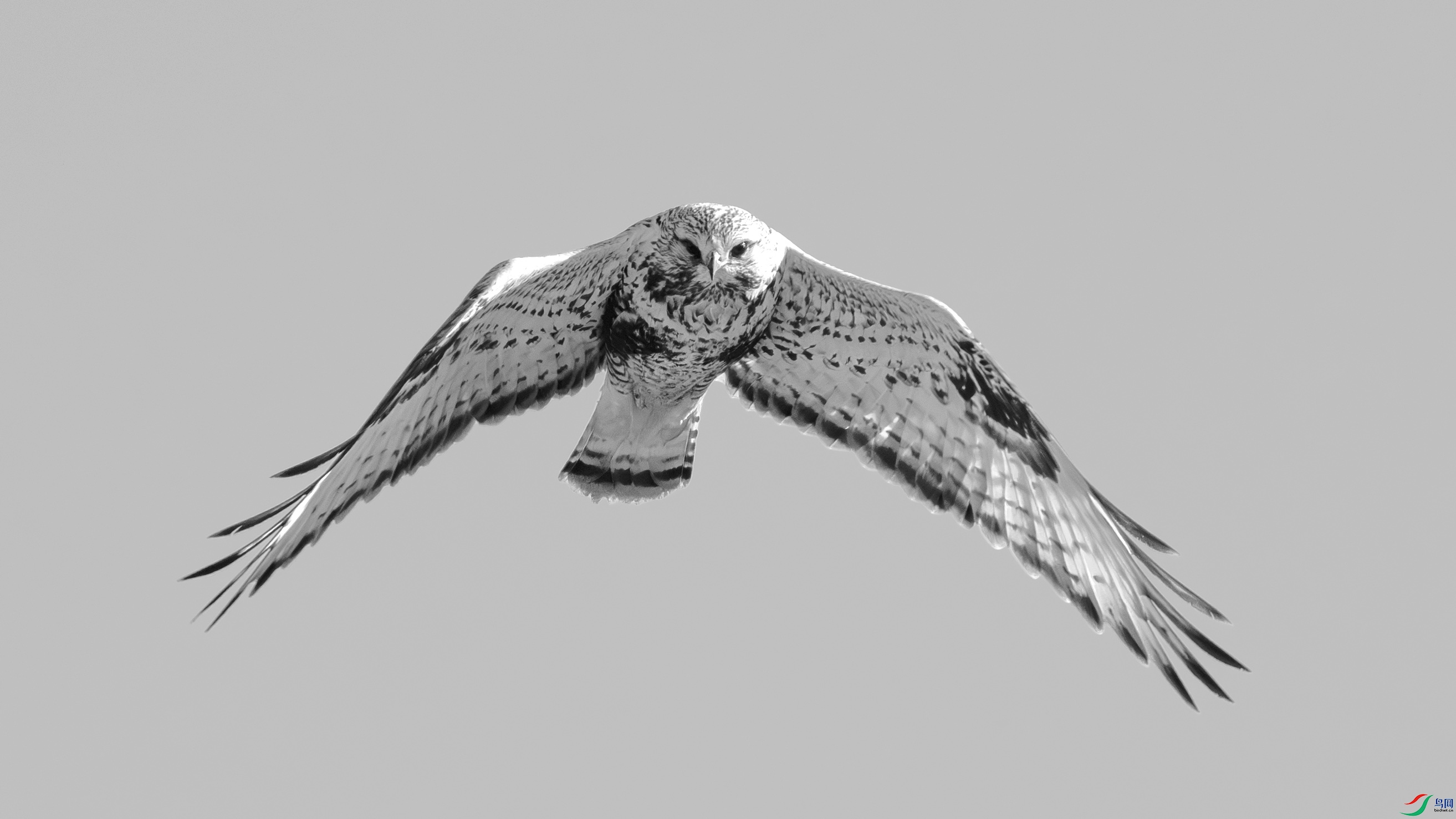 _DSC7432 ����.jpg