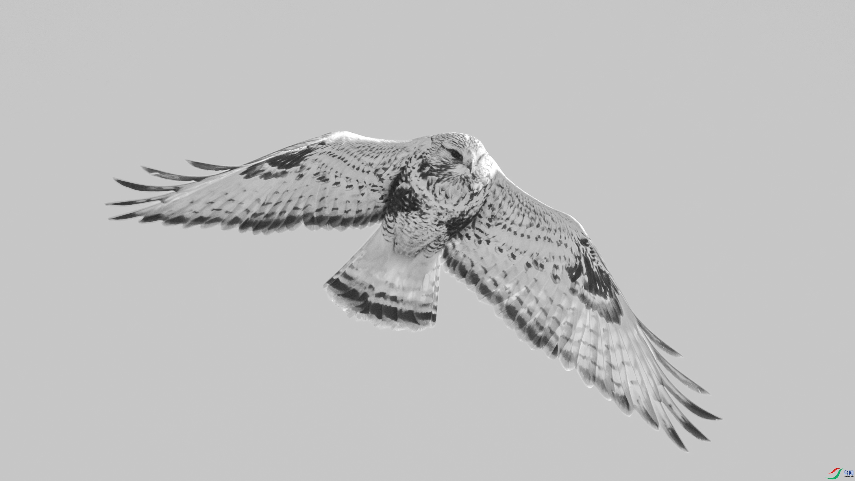 _DSC7438 ����.jpg