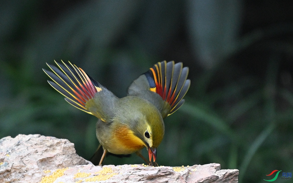 DSC_4828 - ����.JPG